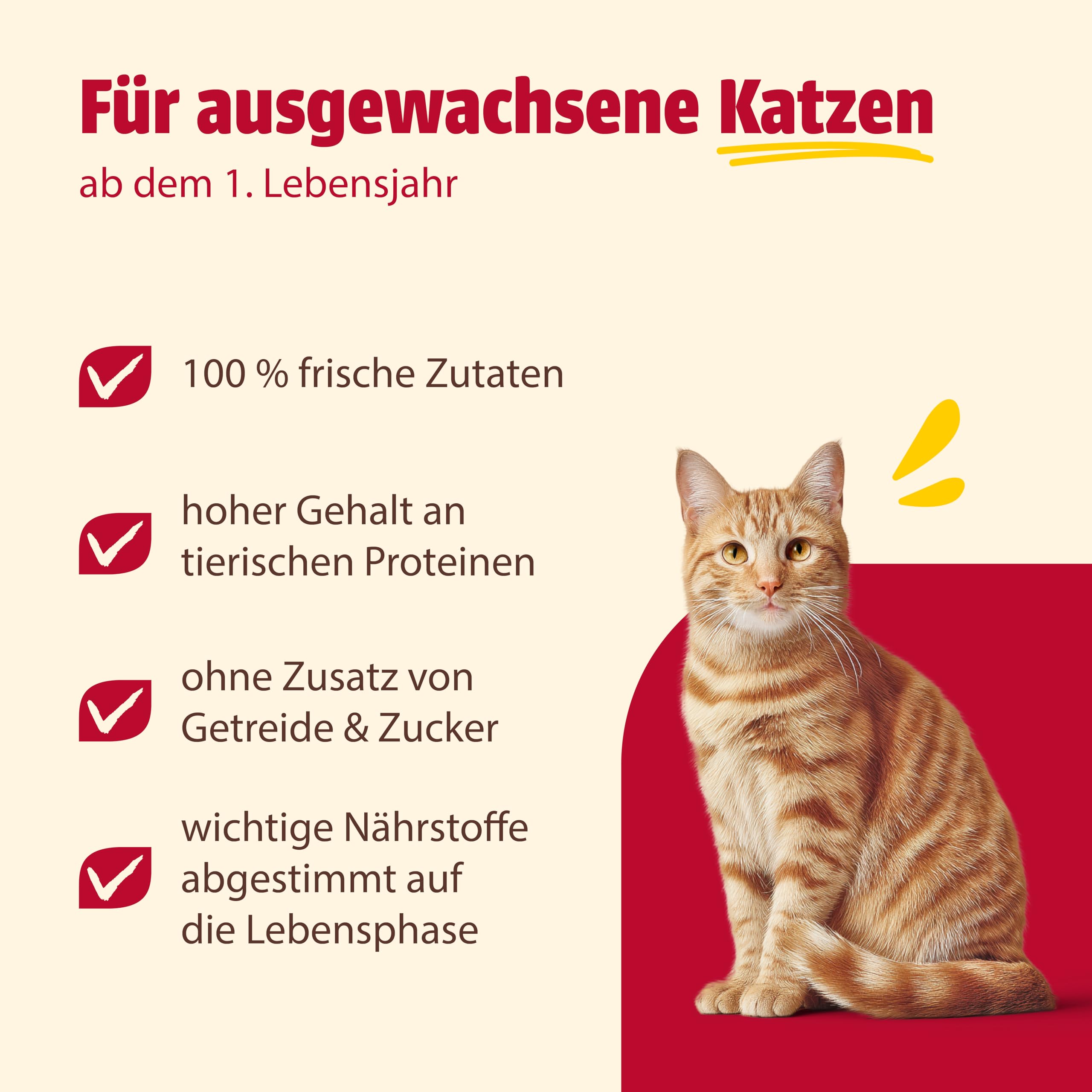 animonda Carny Adult Huhn + Lachs (6 x 400 g), Katzennassfutter für ausgewachsene Katzen, Nassfutter mit 100 % frischen, fleischlichen Zutaten, Katzenfutter ohne Getreide und Zucker