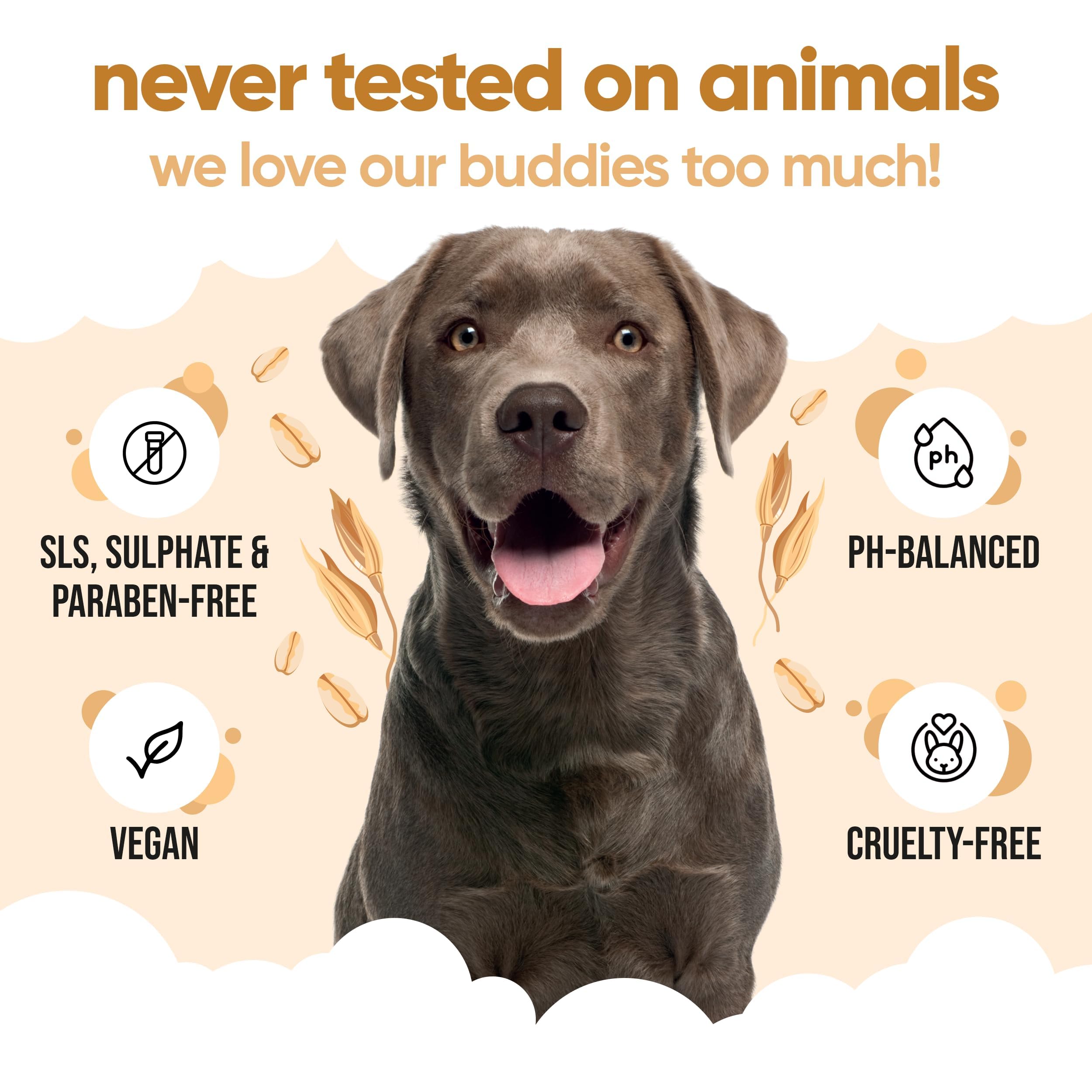 2in1 Hundeshampoo und Conditioner von Buddycare (500ml) - Praktisches Hundeshampoo langhaar und welpen Shampoo Mit Aloe Vera und Pro-Vitamin B5 Rückfettendes Shampoo Für Alle Hunderassen