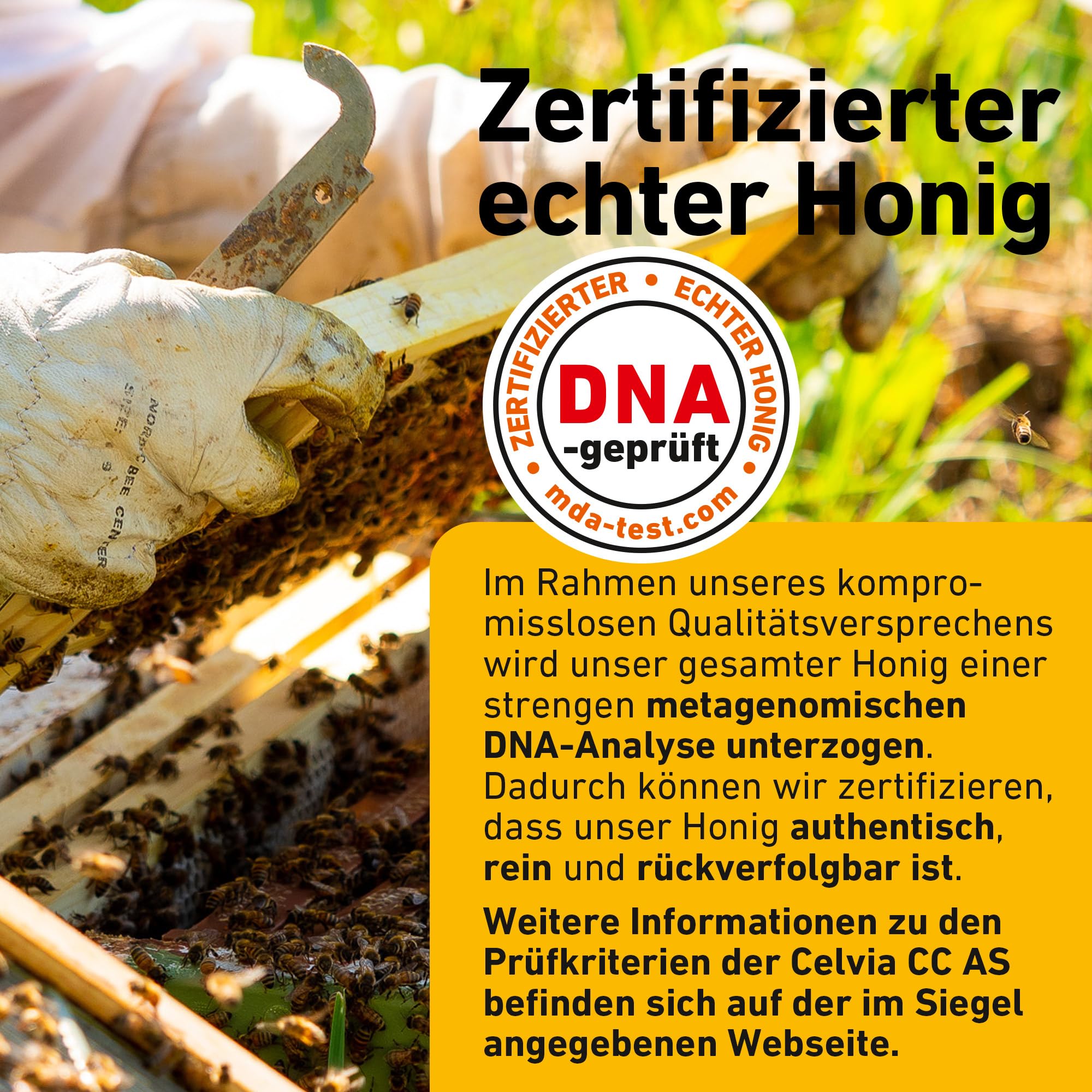 Reiner, wilder, natürlicher, roher Honig, 1 kg, ungefiltert, natürlicher Honig aus dem Ostseewald in Estland, nachhaltig geerntet mit 100% grüner Energie
