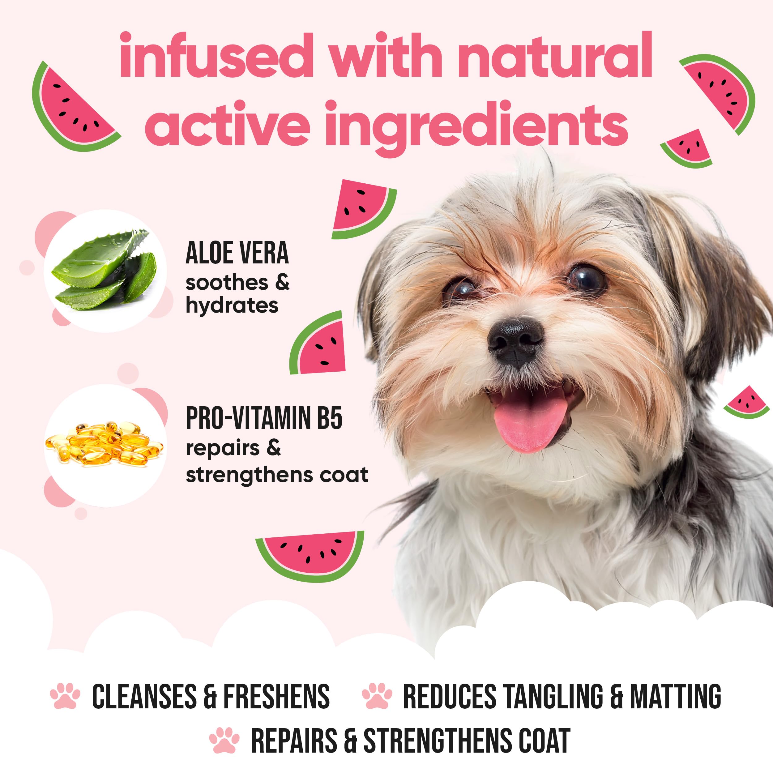 2in1 Hundeshampoo und Conditioner von Buddycare (500ml) - Praktisches Hundeshampoo langhaar und welpen Shampoo Mit Aloe Vera und Pro-Vitamin B5 Rückfettendes Shampoo Für Alle Hunderassen