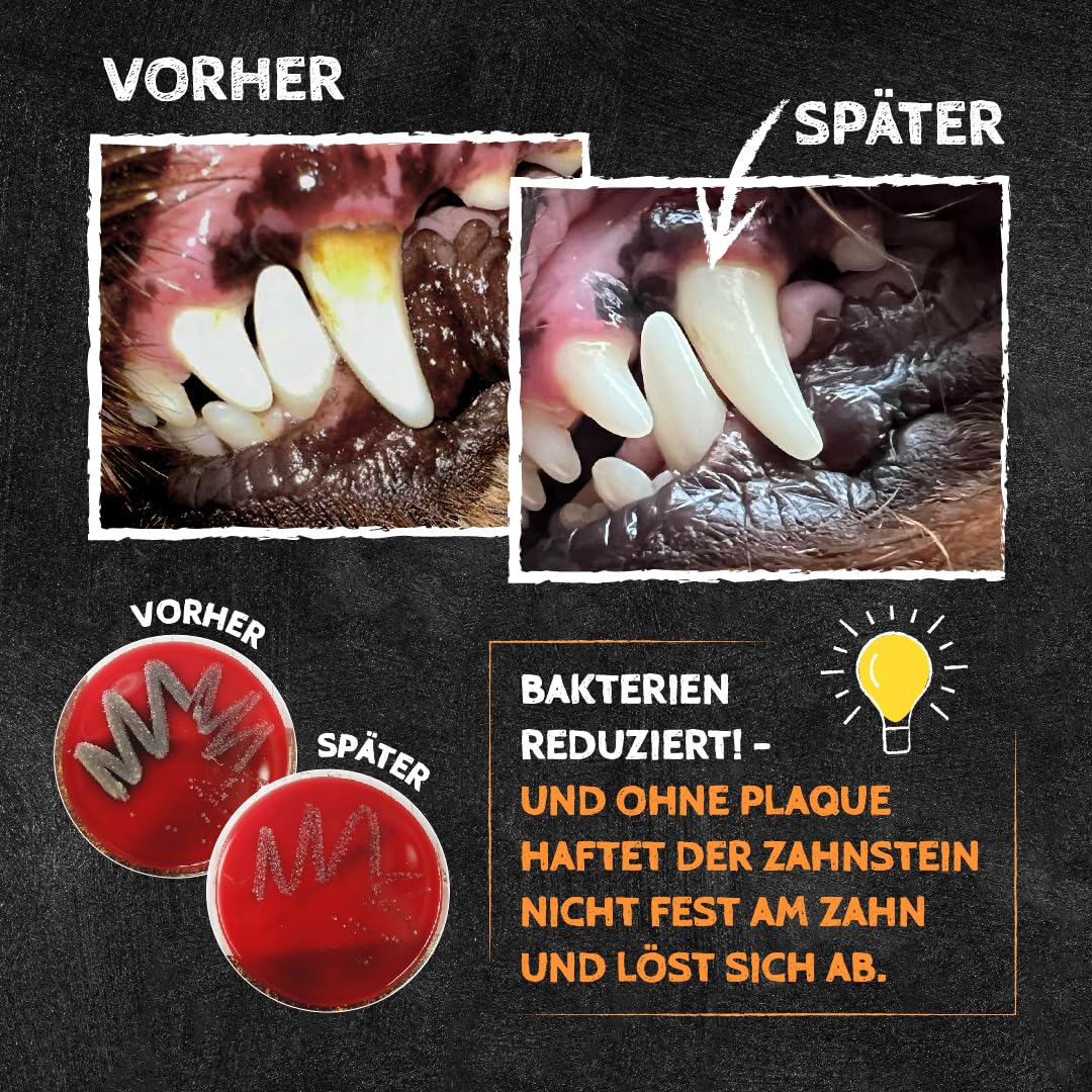 QCHEFS 2er Pack Großpackung Papie Zahnputzflocken für große Hunde - Zahnpflege Hund, ohne Dentalspray für Hunde, Zahnsteinentferner & Mundgeruch Kontrolle, Ideal für Hunde von der Schleckmatte