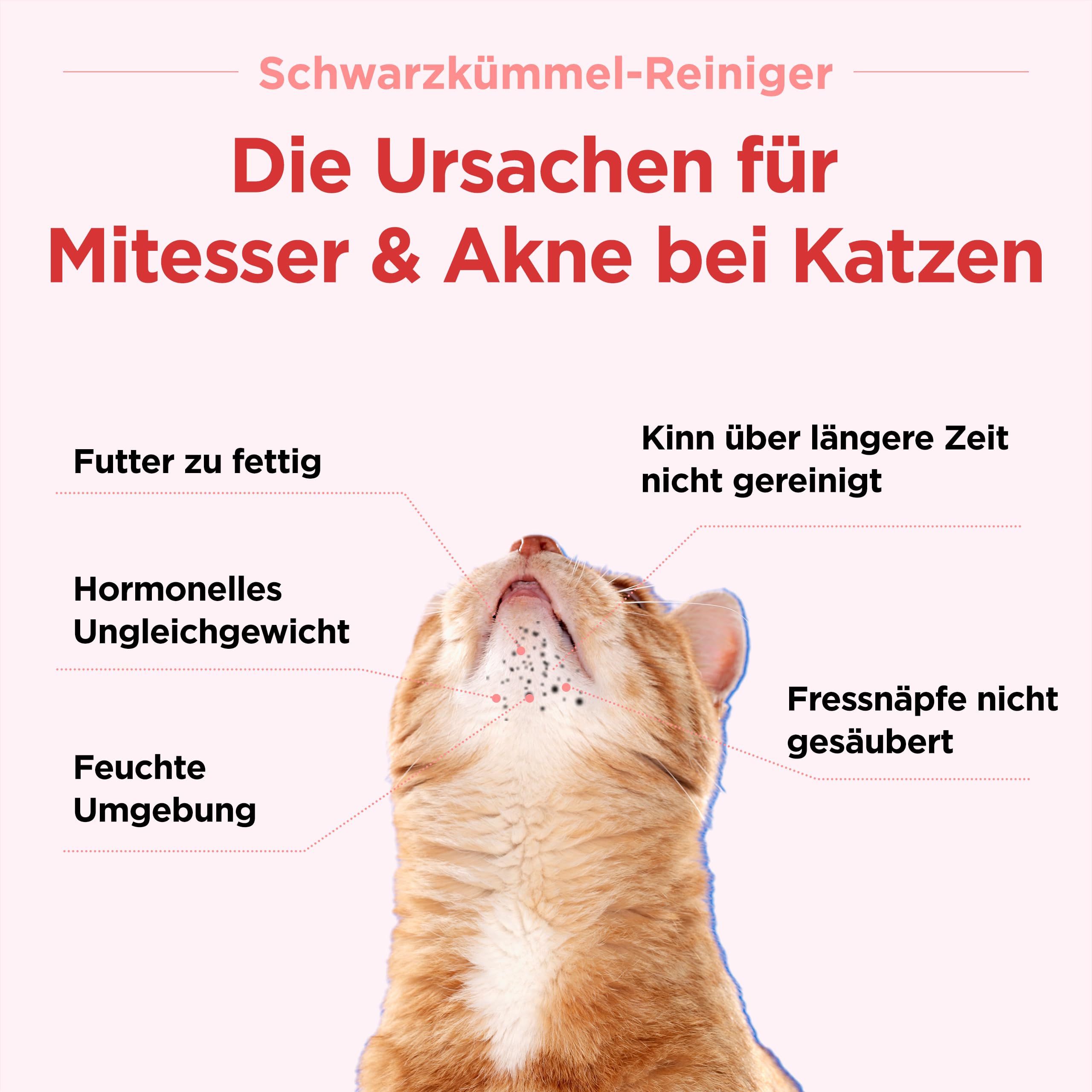 JAYU PET Schwarzkümmel-Reiniger - Kinnakne-Behandlung für Katzen, ungiftiger hypoallergener Reiniger, entfernt Mitesser am Katzenkinn und verbessert die Hautgesundheit (125 ml)