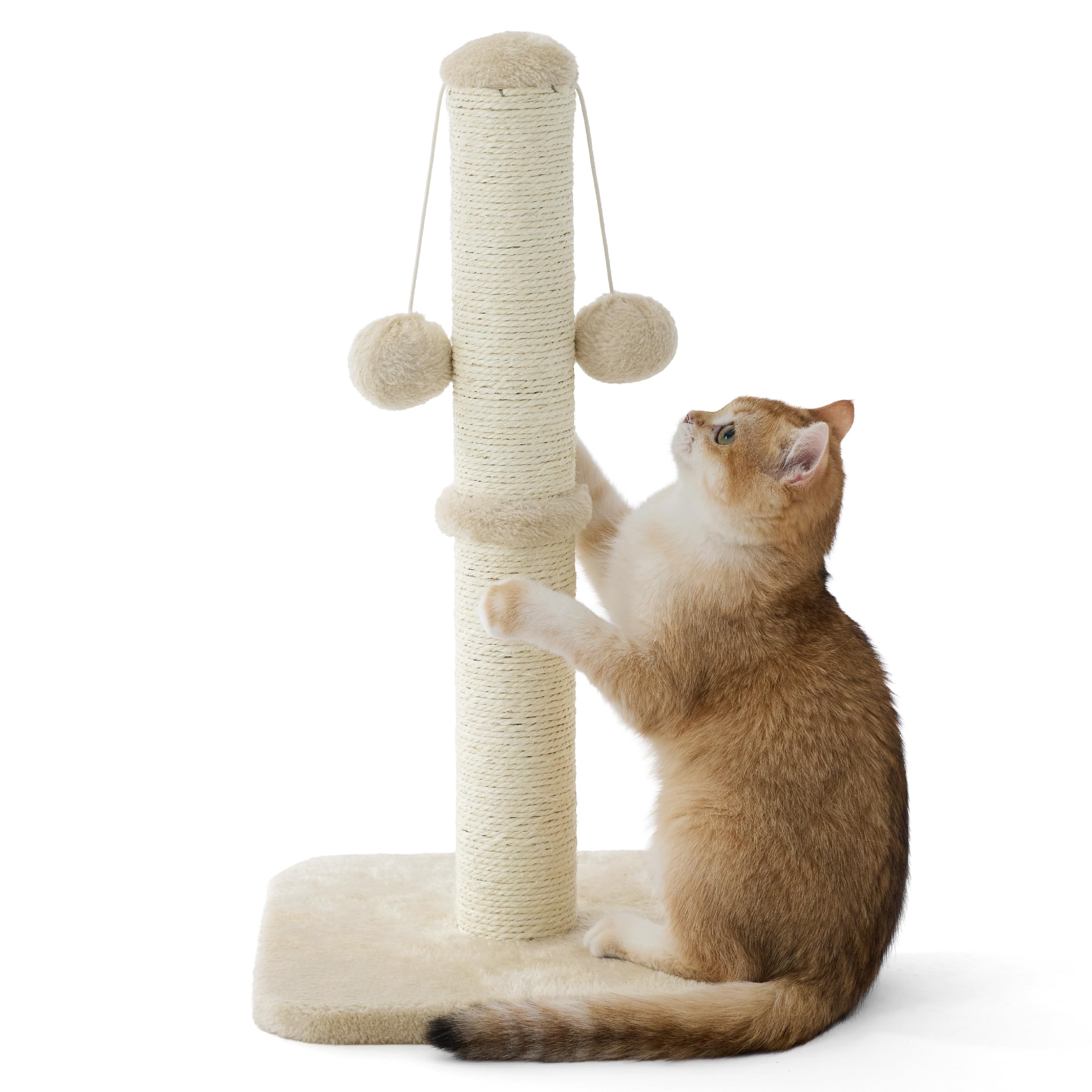 Lesure Kratzsäule Mittelgroßer für Katzen Indoor - 36x36x74cm Kratzstamm mit Hängendem Spielball, Kleiner Kratzbaum mit Sisalseil, Stabile Basis Kratzsäule, Grau