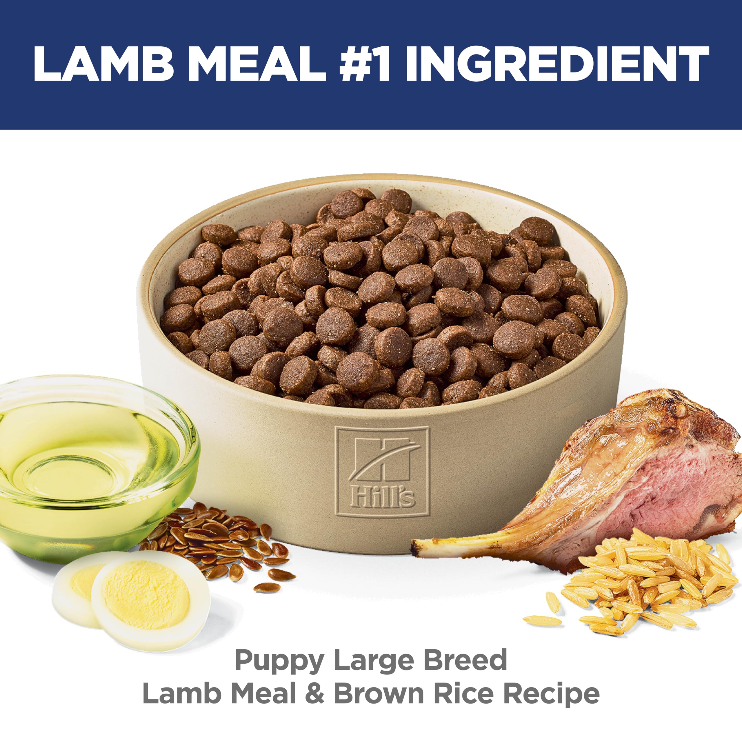 Hill's Science Diet Large Breed Puppy Food, DHA to Support Healthy Development, Chicken & Brown Rice Dry Dog Food, 15.5 lb. Bag