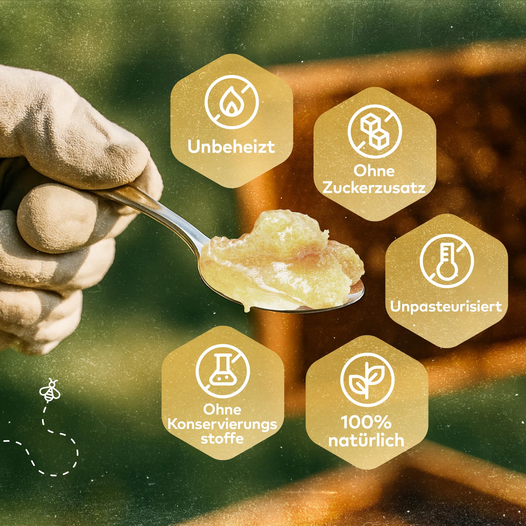 Q Honey – Wildblütenhonig vom Imker, NMR-geprüft, geprüfte Qualität & international anerkannt 2025, 1 kg