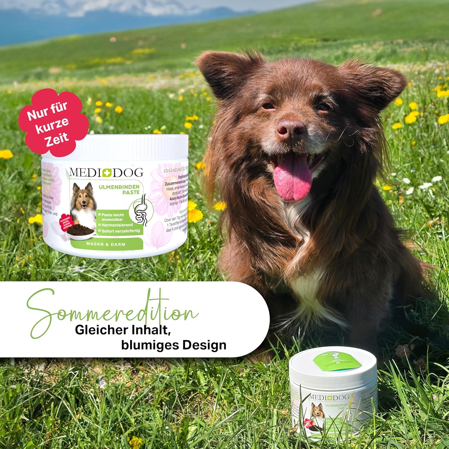 MEDIDOG 500g Premium Ulmenrinden-Paste für Hunde sofort verzehrfertig mit Slippery Elm Bark | unterstützt eine gesunde Verdauung & Normale Kotkonsistenz