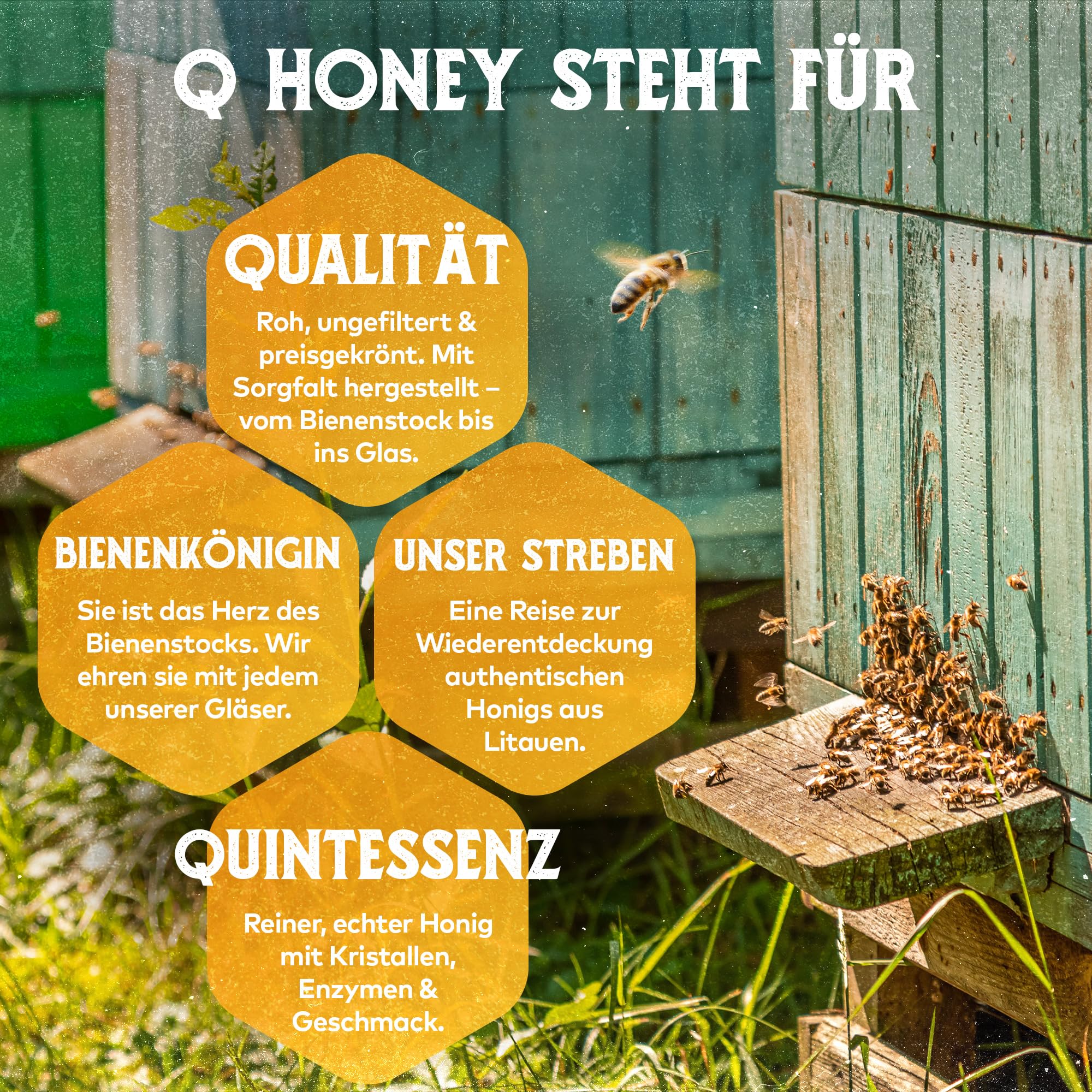 Q Honey – Wildblütenhonig vom Imker, NMR-geprüft, geprüfte Qualität & international anerkannt 2025, 1 kg