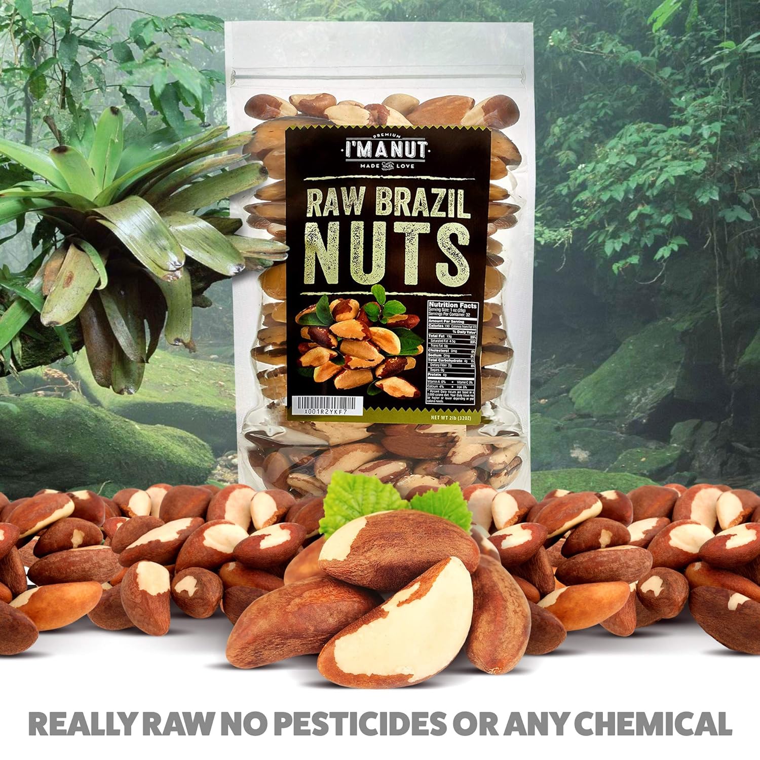 Premium Wild Harvested Raw Brazil Nuts, 1 lb (16oz) – High Selenium, Batch Tested Peanut & Gluten Free, Non-GMO, Kosher, Resealable Bag