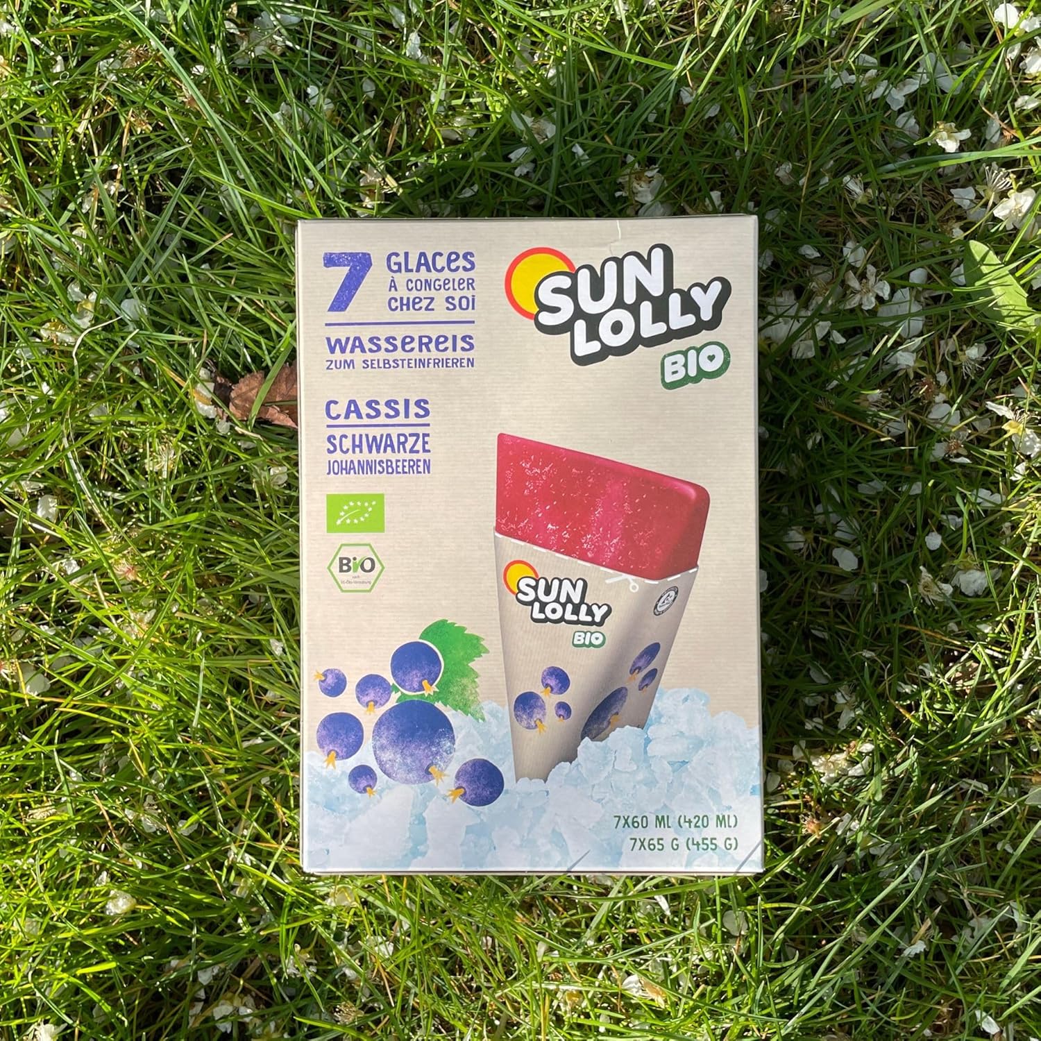 Sun Lolly Bio Wassereis Schwarze Johannisbeere 12er Vorratspack | Mit Fruchtsaft | Zum Selbsteinfrieren | Ohne künstliche Aromen | Frei von Süßungsmittel | Vegan | 12 x 420ml