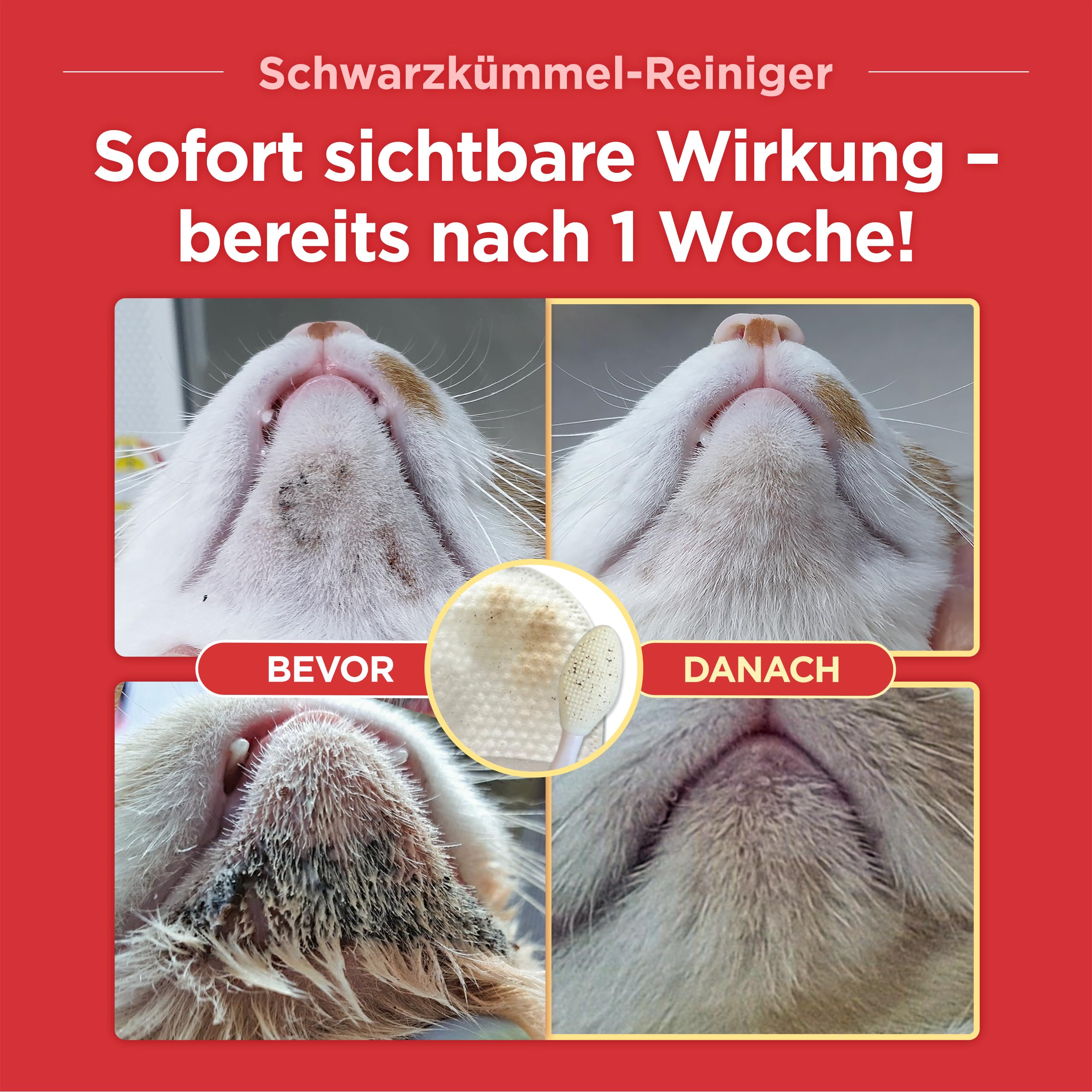 JAYU PET Schwarzkümmel-Reiniger - Kinnakne-Behandlung für Katzen, ungiftiger hypoallergener Reiniger, entfernt Mitesser am Katzenkinn und verbessert die Hautgesundheit (125 ml)