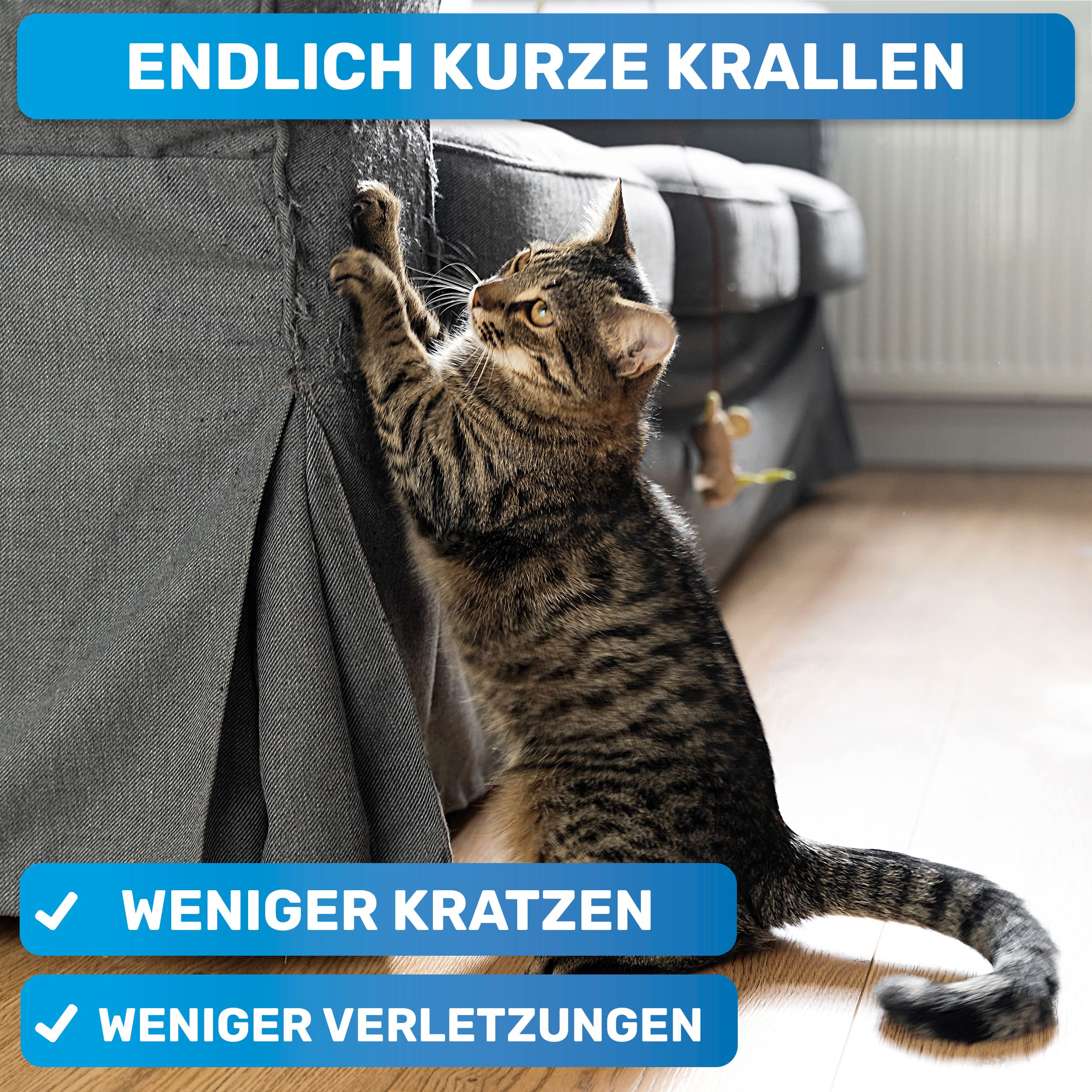 BluePet Krallenschere mit Schutz für Hunde & Katzen I Einsteigerfreundlich I Krallenzange für kleine & große Krallen + Krallenfeile im Griff - Alternative zu Nagelschere & Krallenschleifer