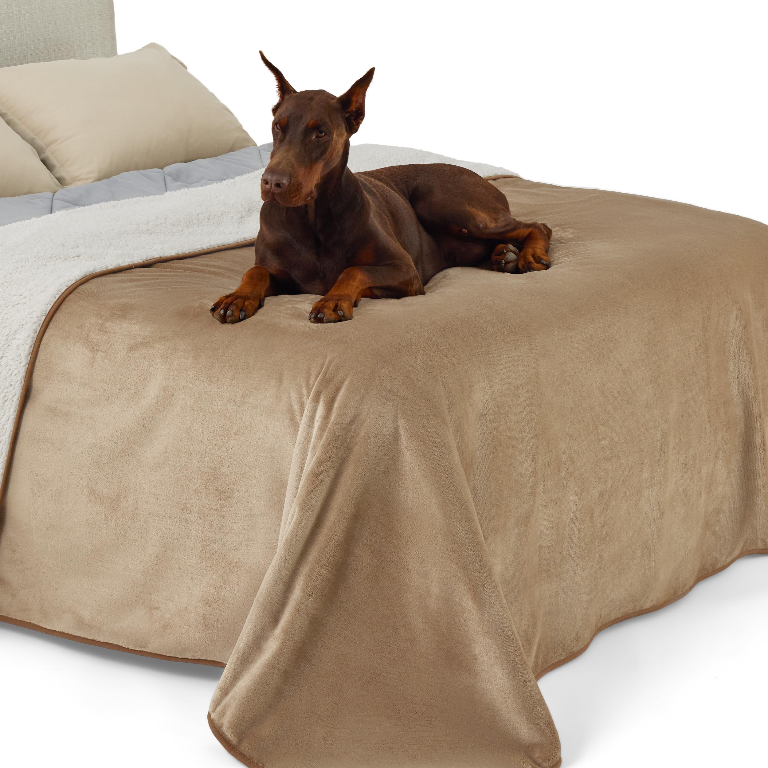 LE SURE wasserdichte Hundedecke mittelgroße Hunde - 100x80cm Hundedecke waschbar, Hundedecke Sofaschutz aus Sherpa Fleece, Katzendecke flauschig und weich, Grau