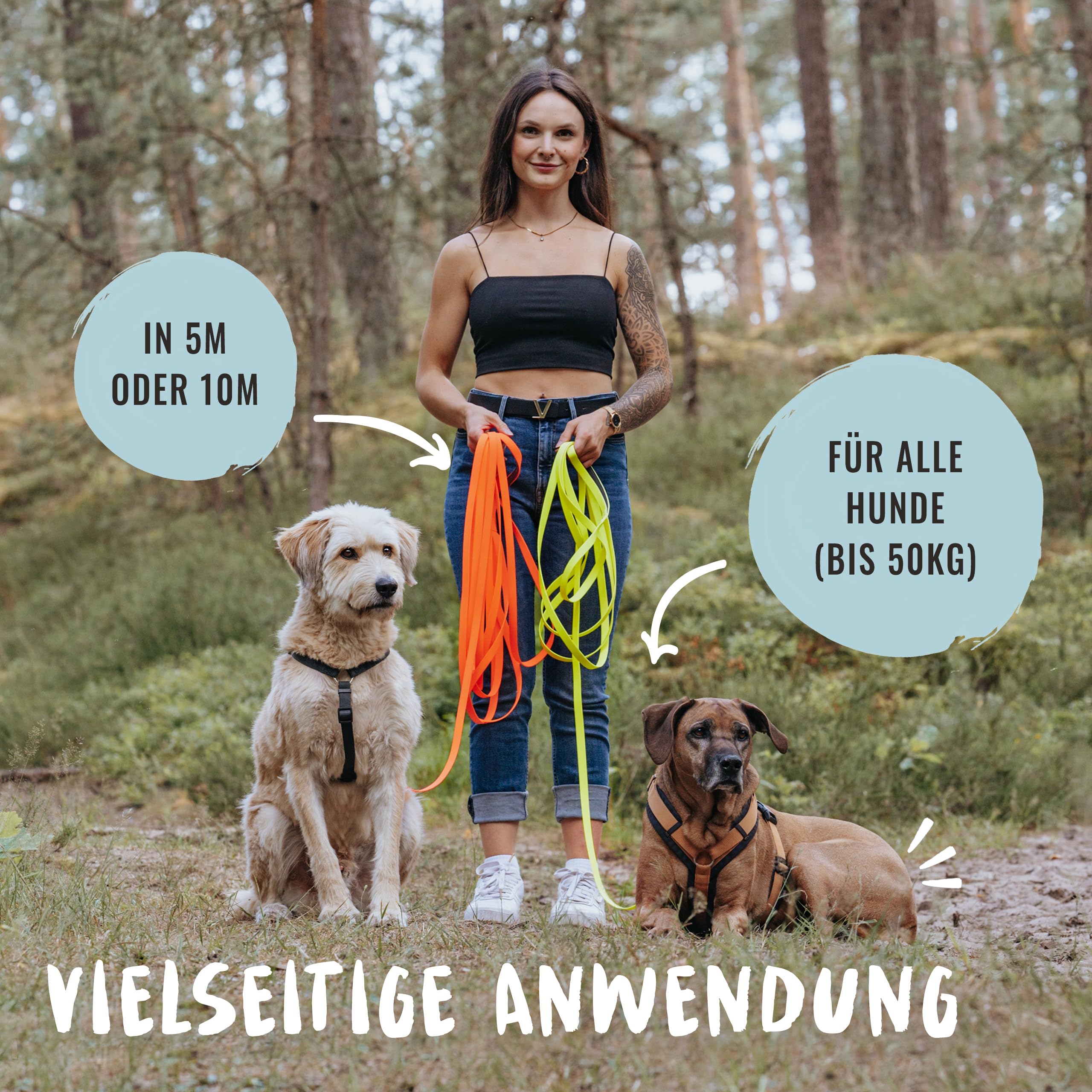 Rudelkönig Schleppleine 10m für Hunde - Robuste & wetterfeste Hundeleine für eine erfolgreiche Hundeerziehung - Mit Griffpolsterung