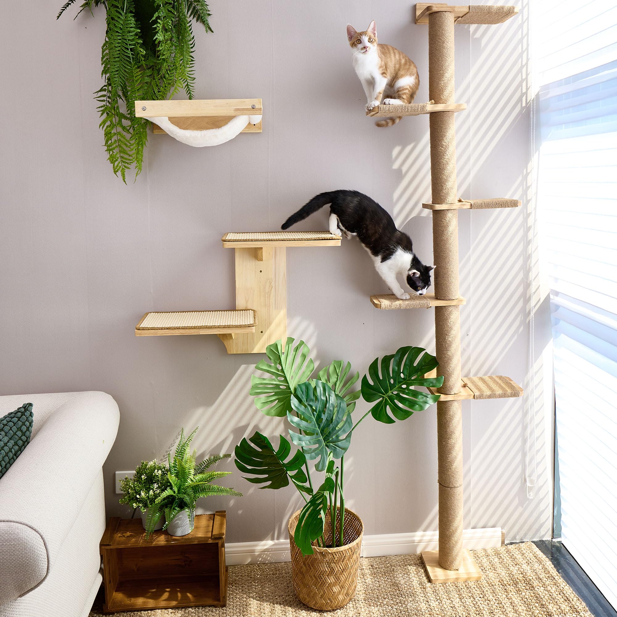 FUKUMARU Kratzbaum, 5 Etagen bis zur Decke reichender Katzenturm(206 cm), wandmontierter Katzenbaum,aus Natürliches Gummibaumholz, für Katzen zum Klettern, Kratzen, Ausschau halten und Spielen.