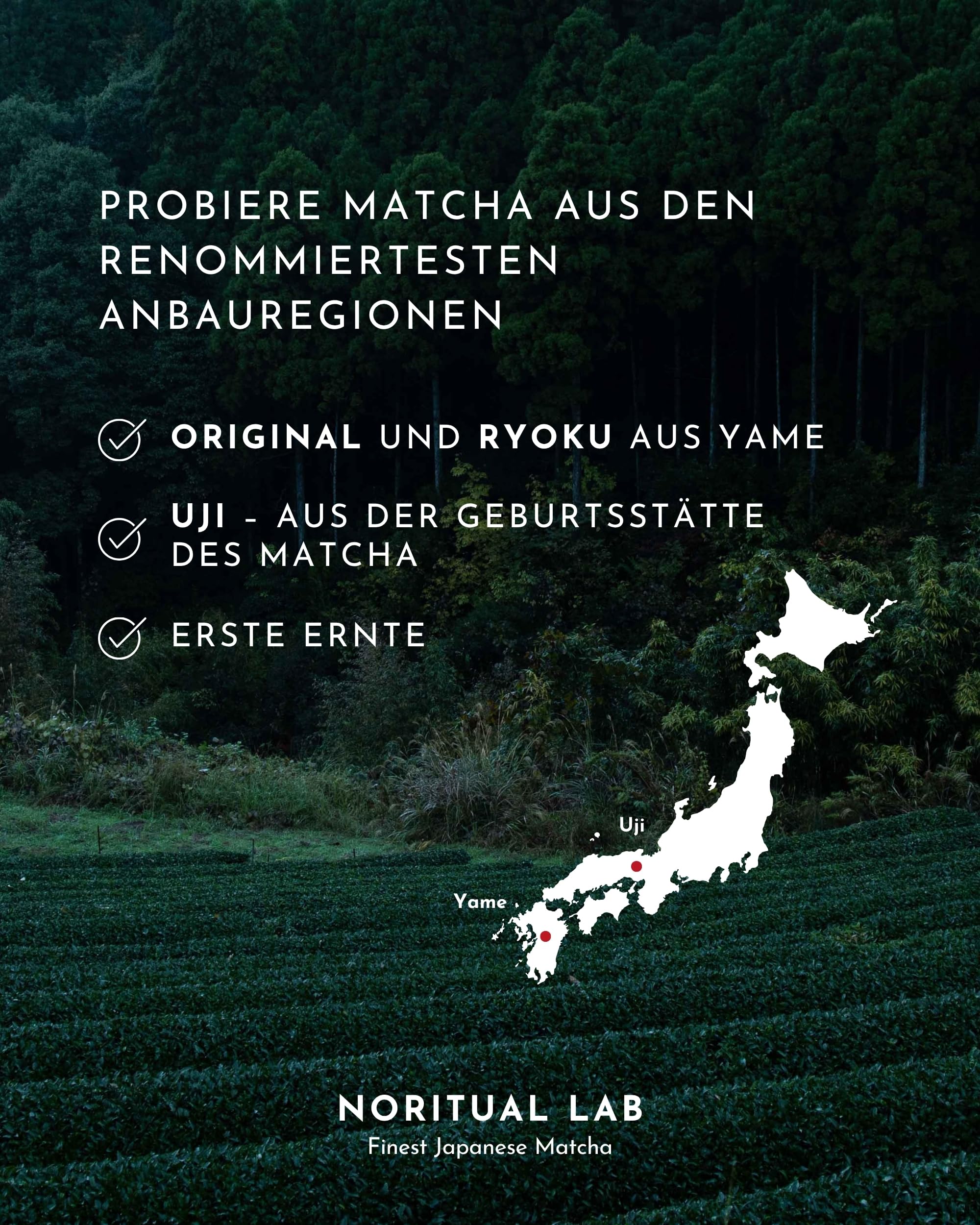 Ceremonial Matcha - Reines Matcha Pulver aus Japan - Ceremonial Grade - Original Matcha Grüntee - Erste Ernte - 100% Natürlich und Laborgeprüft