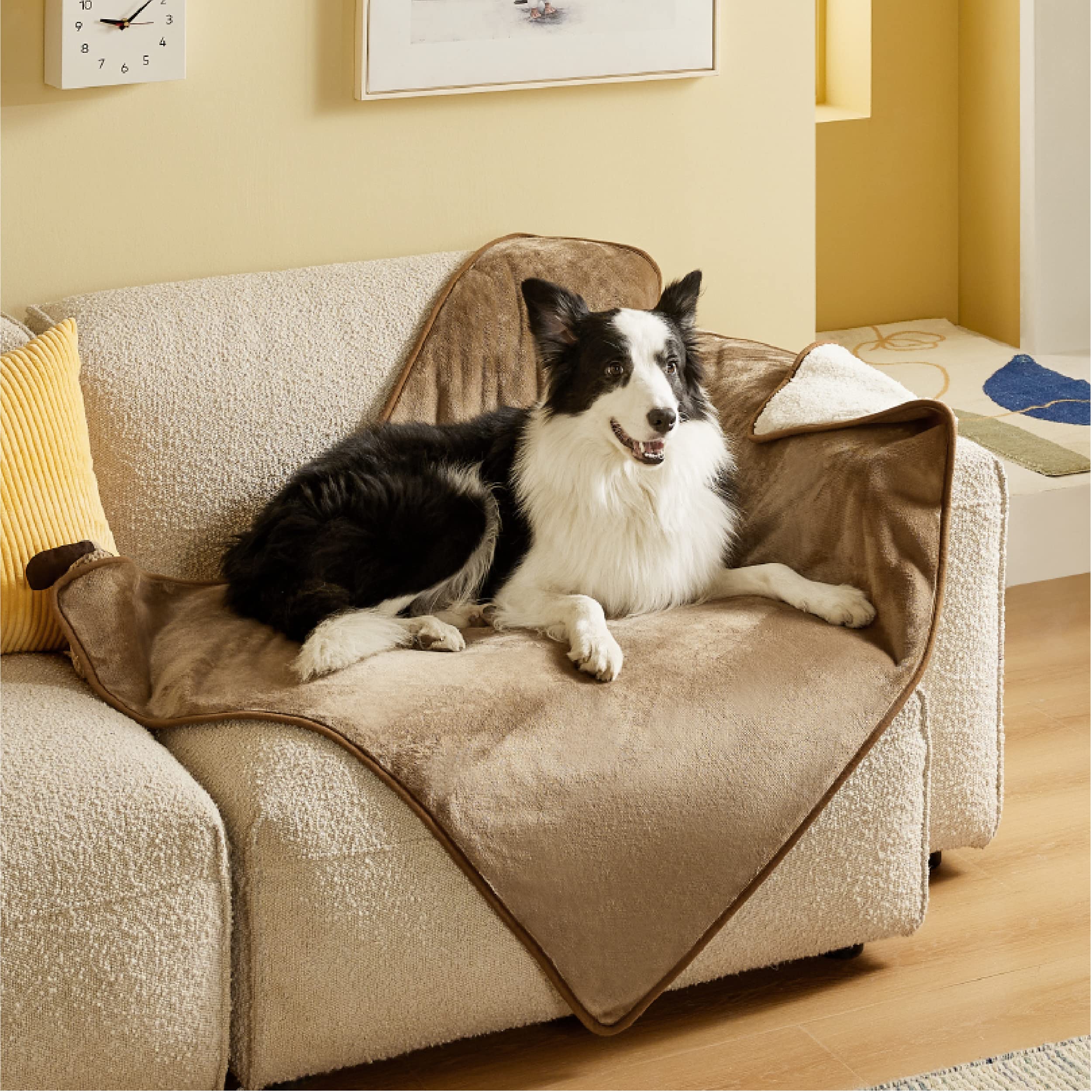LE SURE wasserdichte Hundedecke mittelgroße Hunde - 100x80cm Hundedecke waschbar, Hundedecke Sofaschutz aus Sherpa Fleece, Katzendecke flauschig und weich, Grau