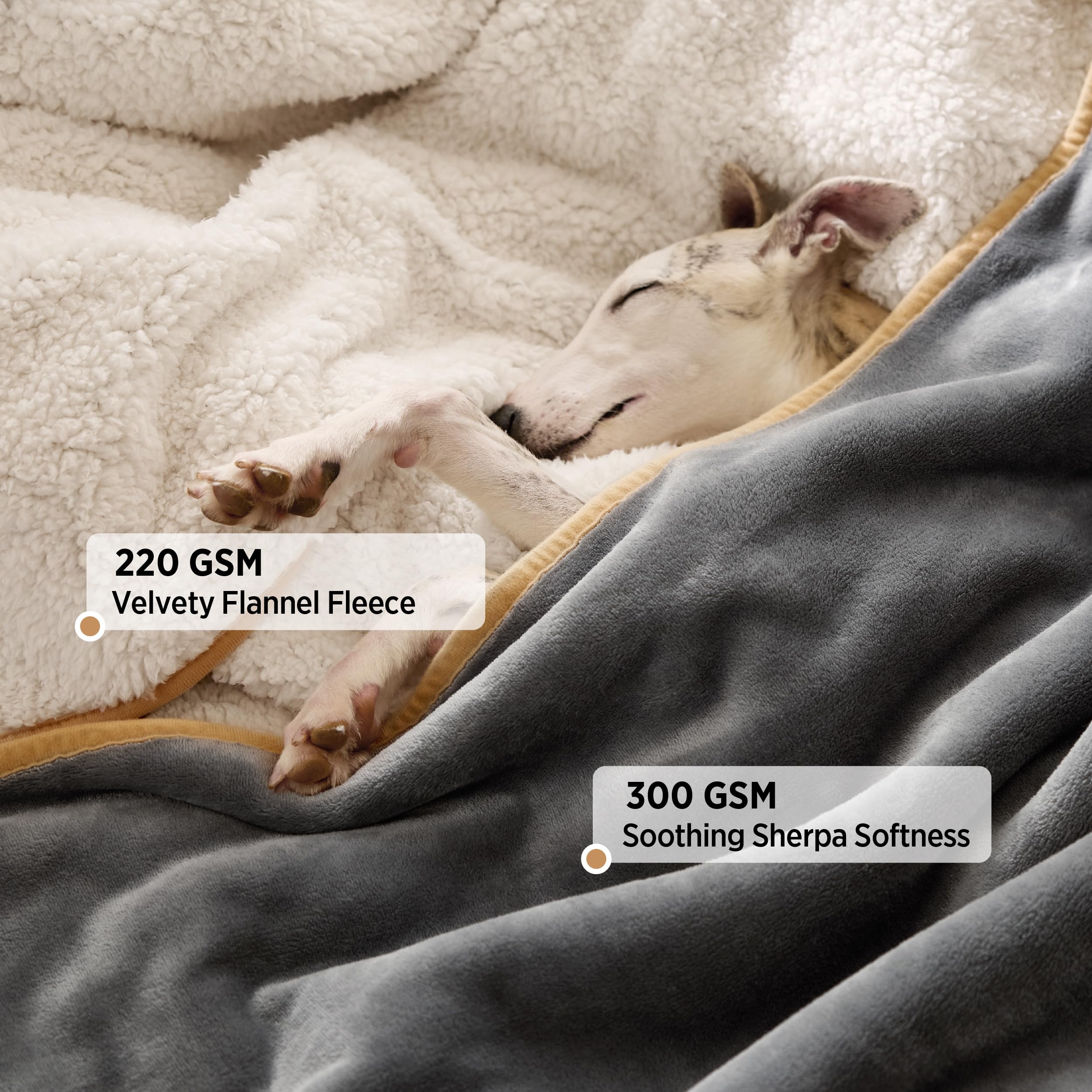 LE SURE wasserdichte Hundedecke mittelgroße Hunde - 100x80cm Hundedecke waschbar, Hundedecke Sofaschutz aus Sherpa Fleece, Katzendecke flauschig und weich, Grau