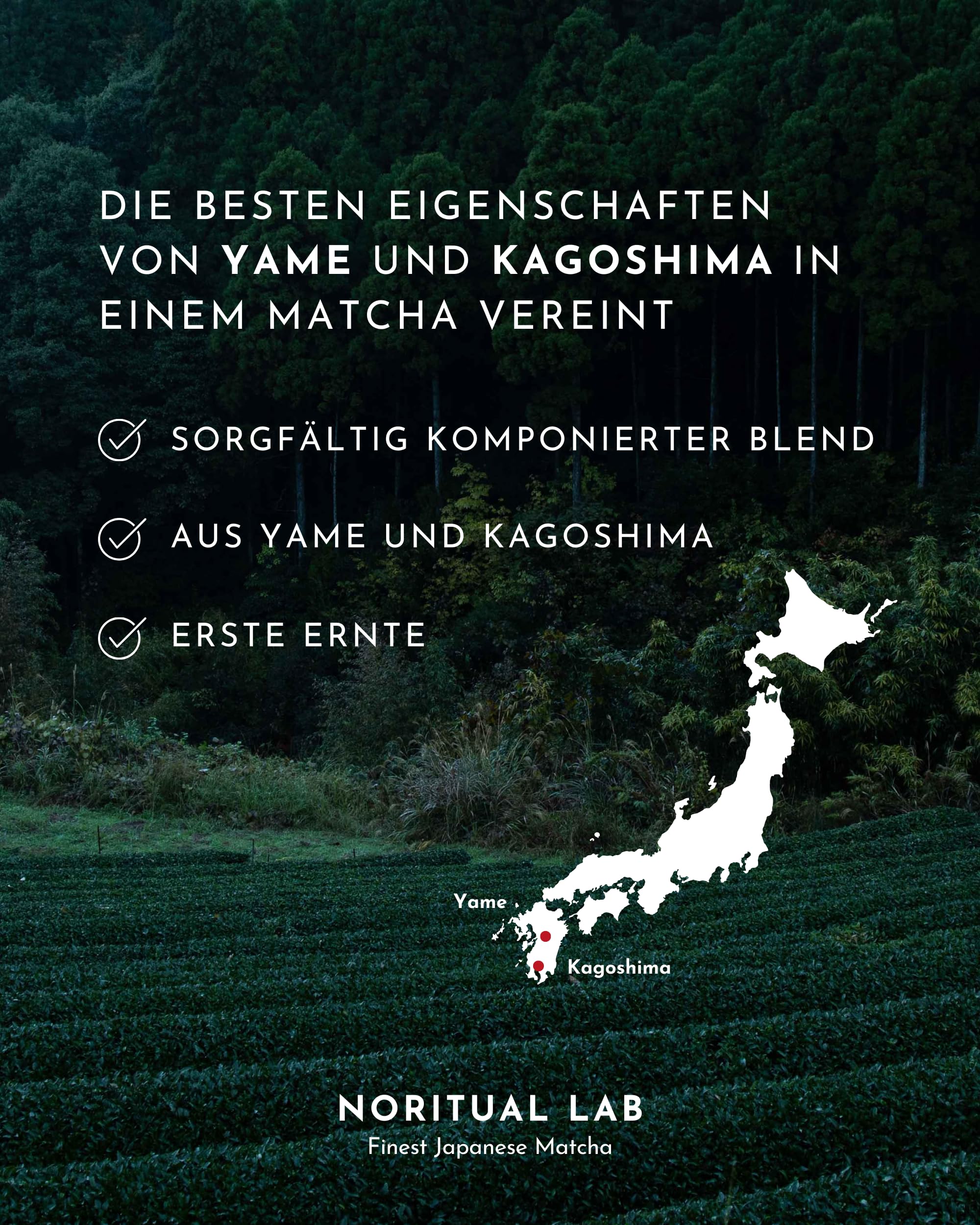 Ceremonial Matcha - Reines Matcha Pulver aus Japan - Ceremonial Grade - Original Matcha Grüntee - Erste Ernte - 100% Natürlich und Laborgeprüft