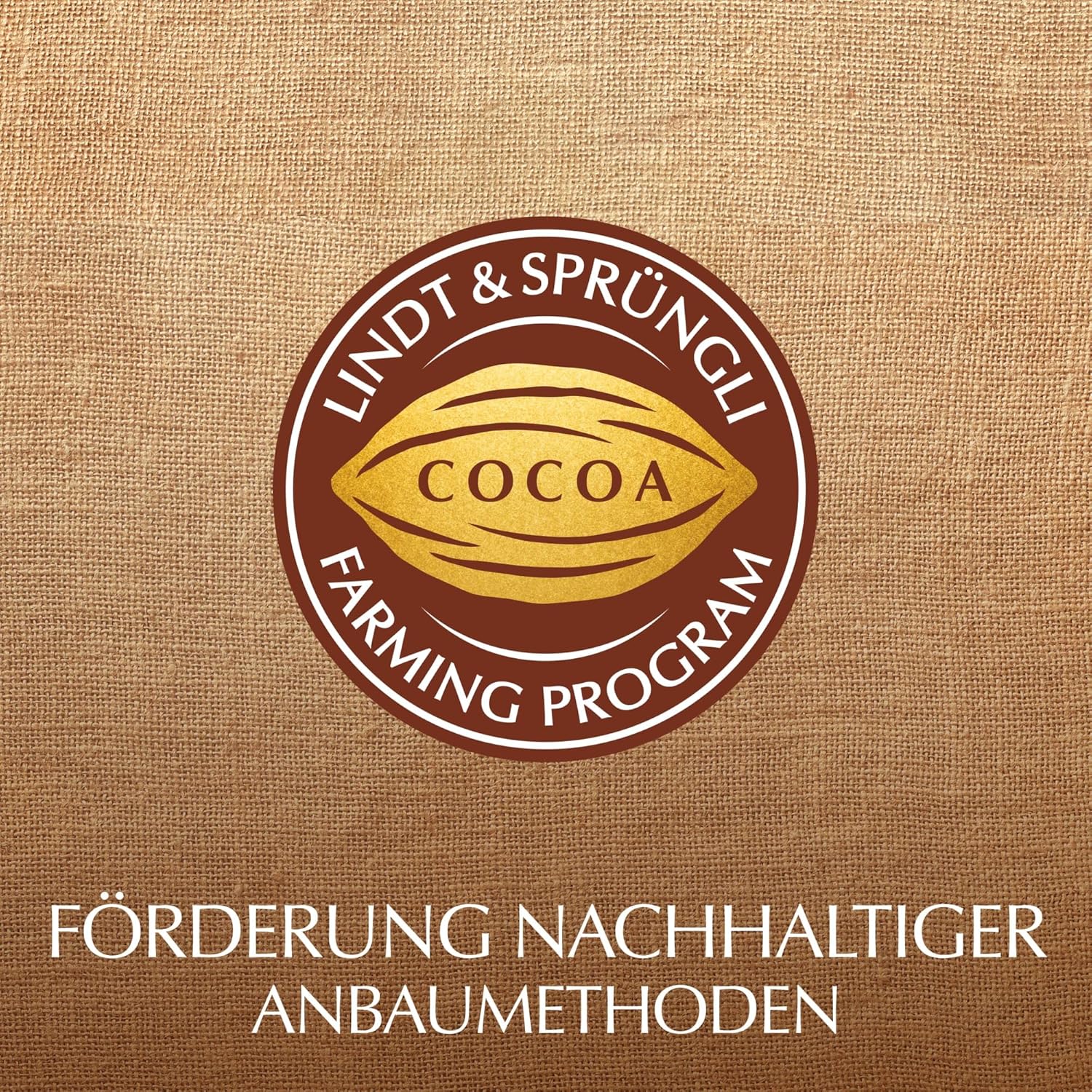 Lindt Schokolade | LINDOR Cornet Pistazie | 500g | 38 Kugeln in Vollmilchschokolade mit zartschmelzender Pistazien Füllung im süßen Cornet | Schokoladen Geschenk