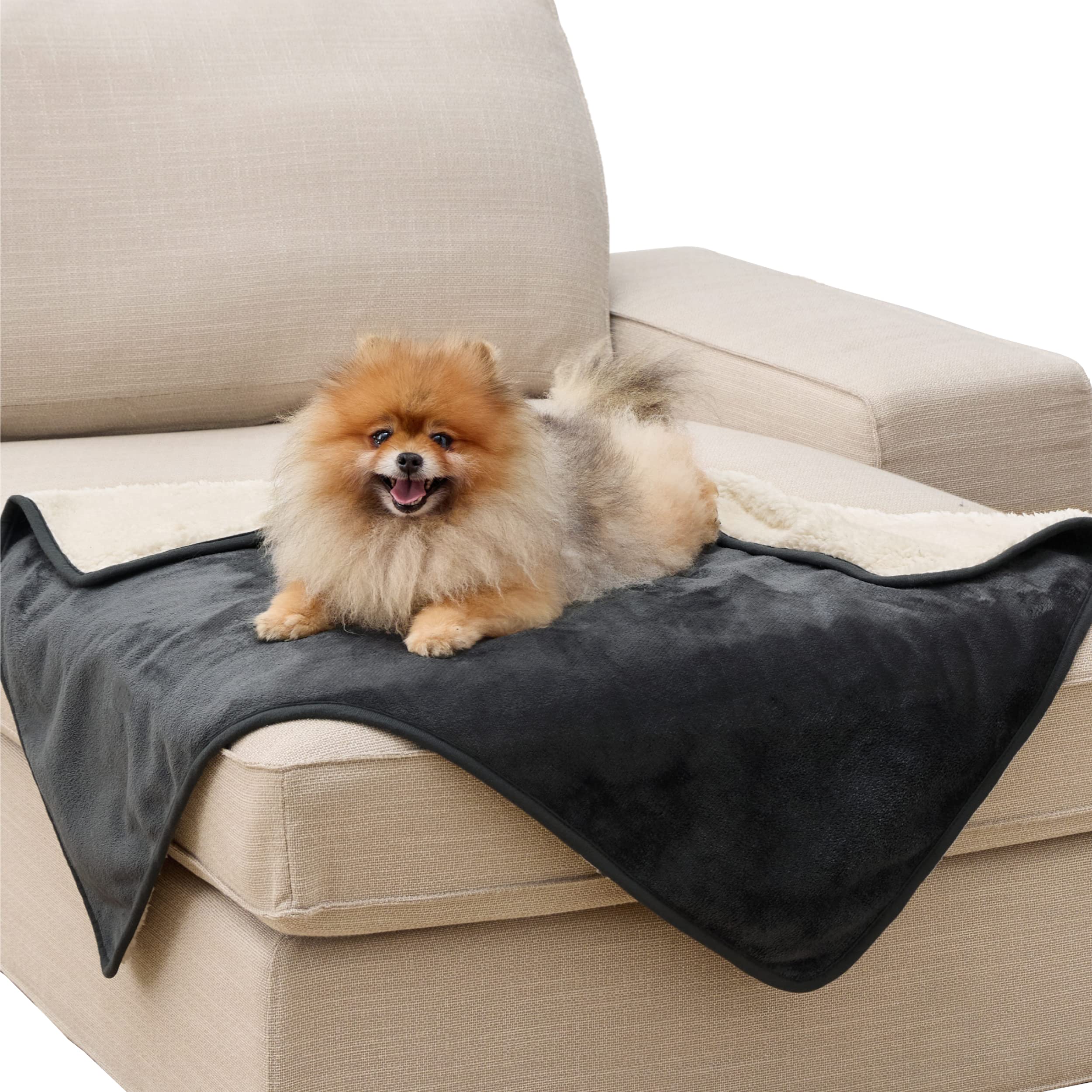 LE SURE wasserdichte Hundedecke mittelgroße Hunde - 100x80cm Hundedecke waschbar, Hundedecke Sofaschutz aus Sherpa Fleece, Katzendecke flauschig und weich, Grau