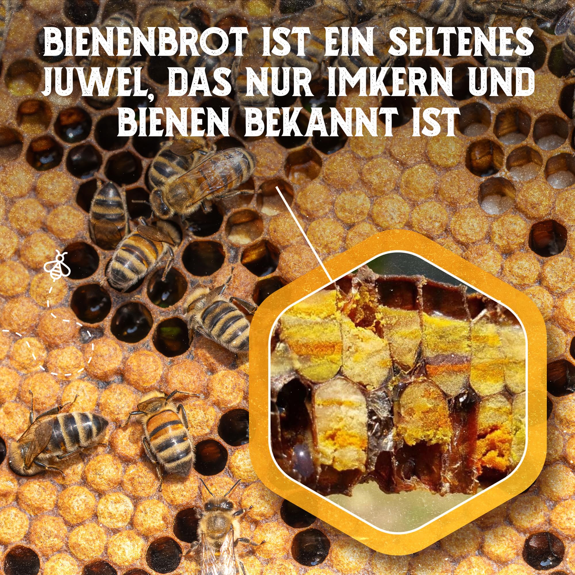 Q Honey – Wildblütenhonig vom Imker, NMR-geprüft, geprüfte Qualität & international anerkannt 2025, 1 kg