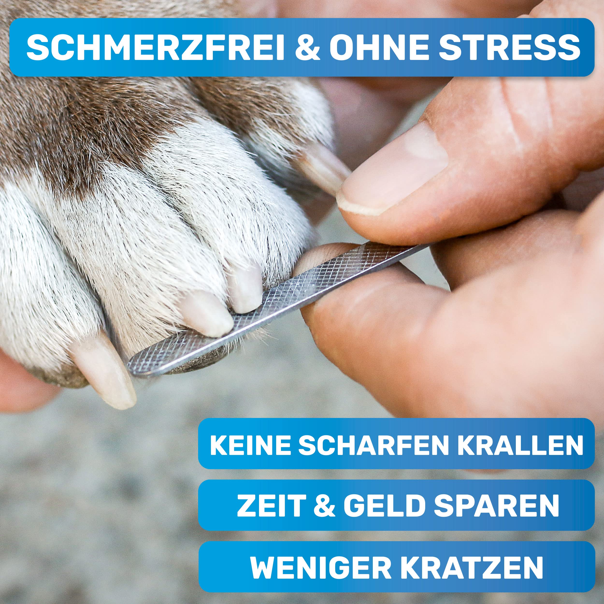 BluePet Krallenschere mit Schutz für Hunde & Katzen I Einsteigerfreundlich I Krallenzange für kleine & große Krallen + Krallenfeile im Griff - Alternative zu Nagelschere & Krallenschleifer