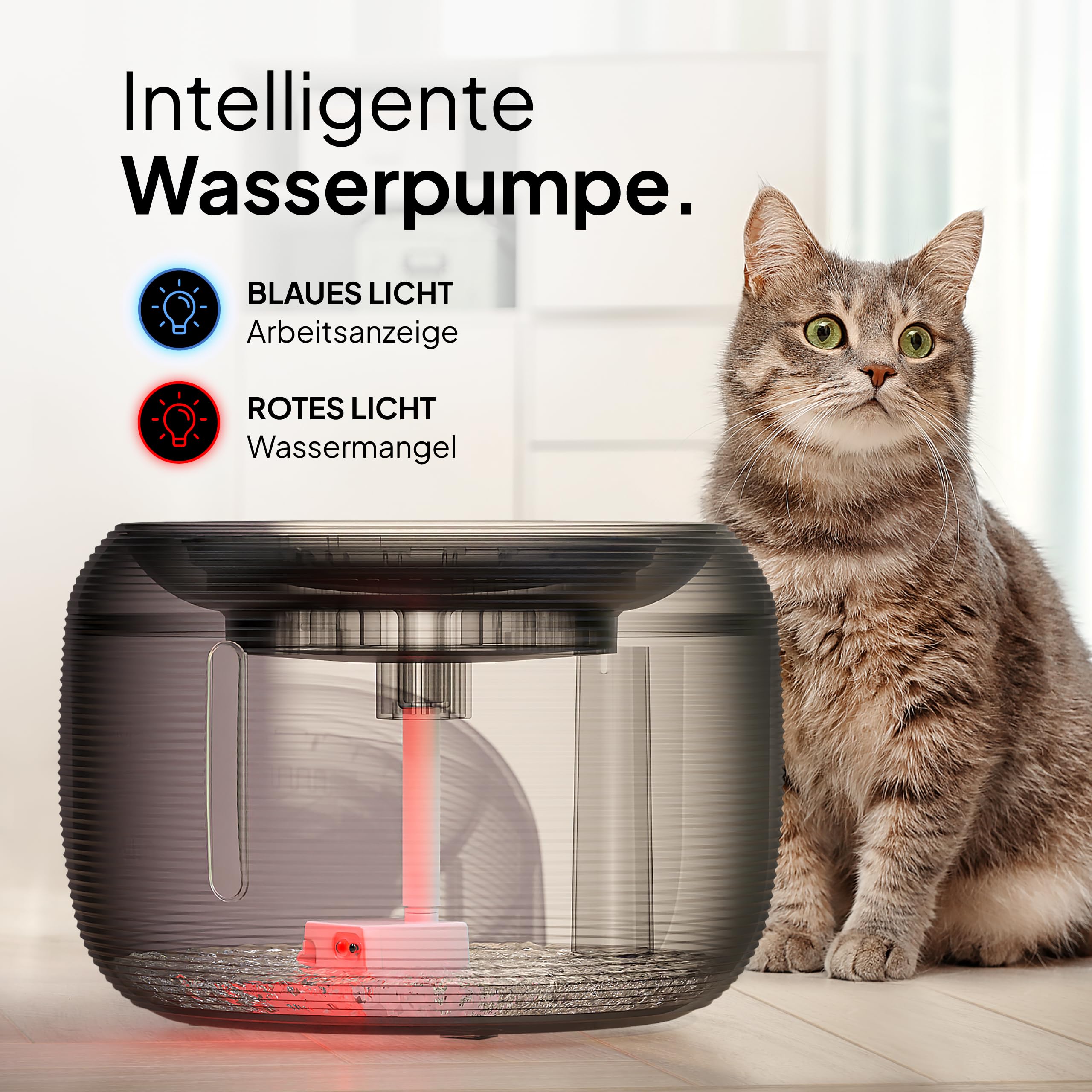 Pretty Paw Trinkbrunnen für Katze – Flüsterleiser 2,5L Katzenbrunnen mit LED & Aktivkohlefilter - BPA-frei & leicht zu reinigen - Hochwertige Lösung zum fairen Preis - KatzenOase Pro