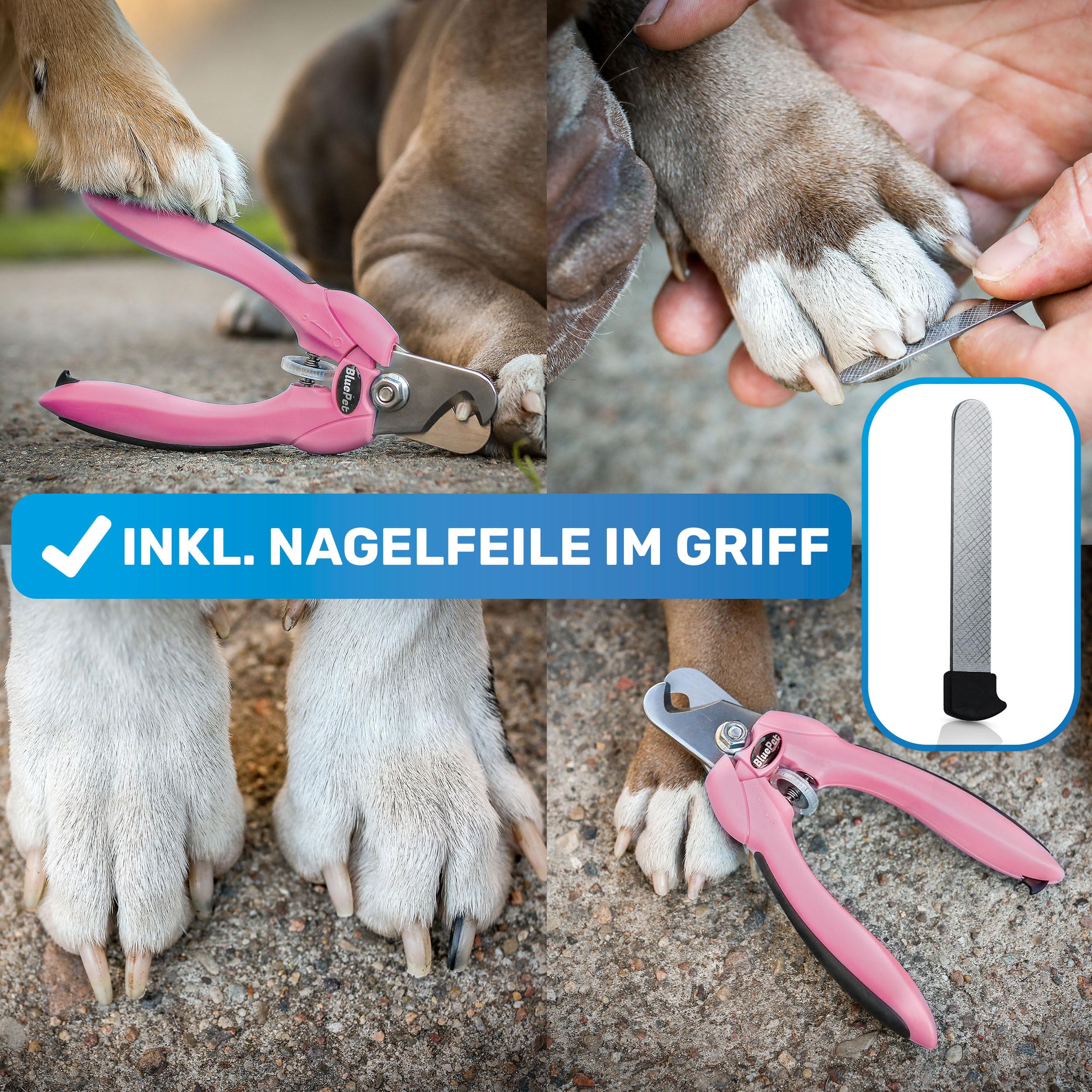BluePet Krallenschere mit Schutz für Hunde & Katzen I Einsteigerfreundlich I Krallenzange für kleine & große Krallen + Krallenfeile im Griff - Alternative zu Nagelschere & Krallenschleifer