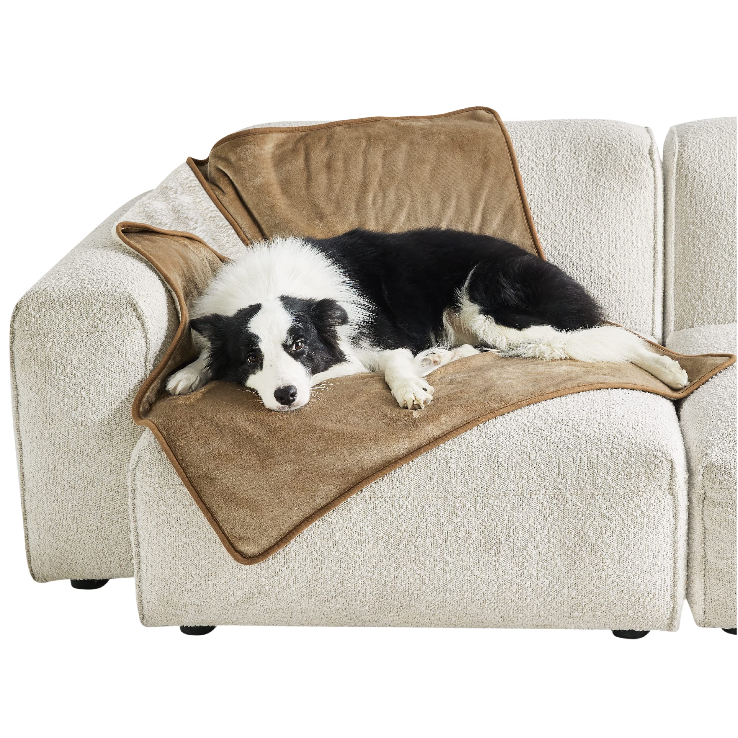 LE SURE wasserdichte Hundedecke mittelgroße Hunde - 100x80cm Hundedecke waschbar, Hundedecke Sofaschutz aus Sherpa Fleece, Katzendecke flauschig und weich, Grau
