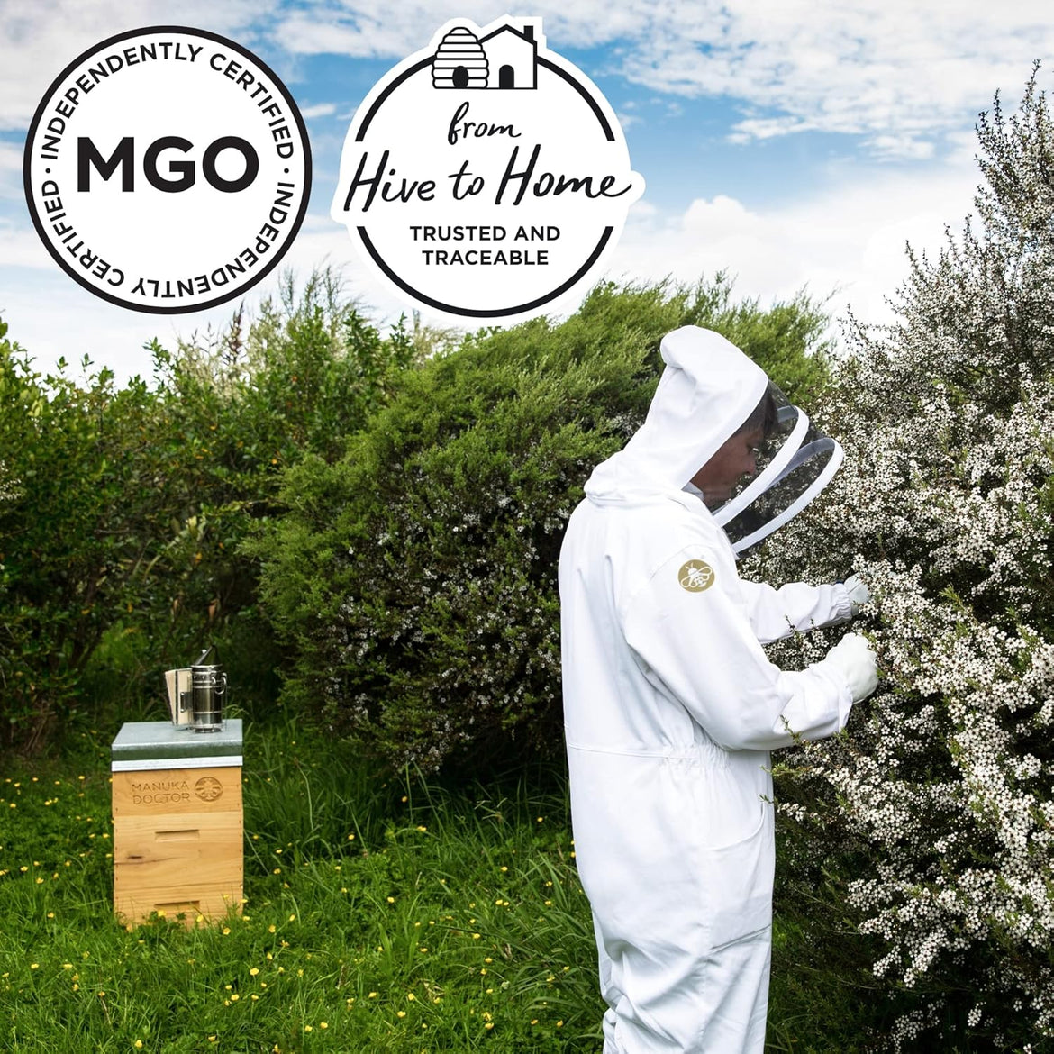 Manuka Doctor - MGO 525+ Manuka Honey Monofloral, 100% Pure New Zealand Honey. Certified. Guaranteed. Raw. Non-GMO (8.75 oz)