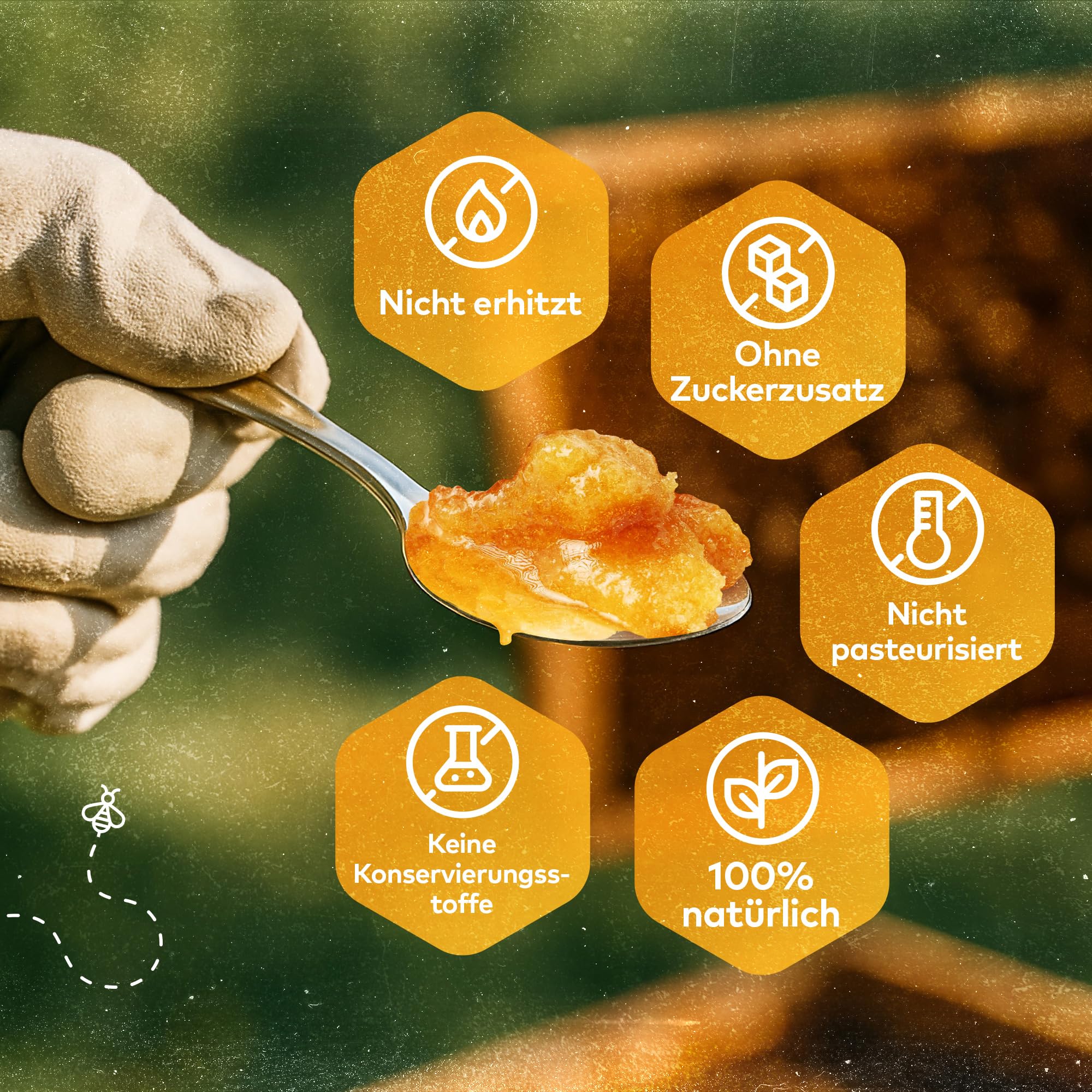 Q Honey – Wildblütenhonig vom Imker, NMR-geprüft, geprüfte Qualität & international anerkannt 2025, 1 kg