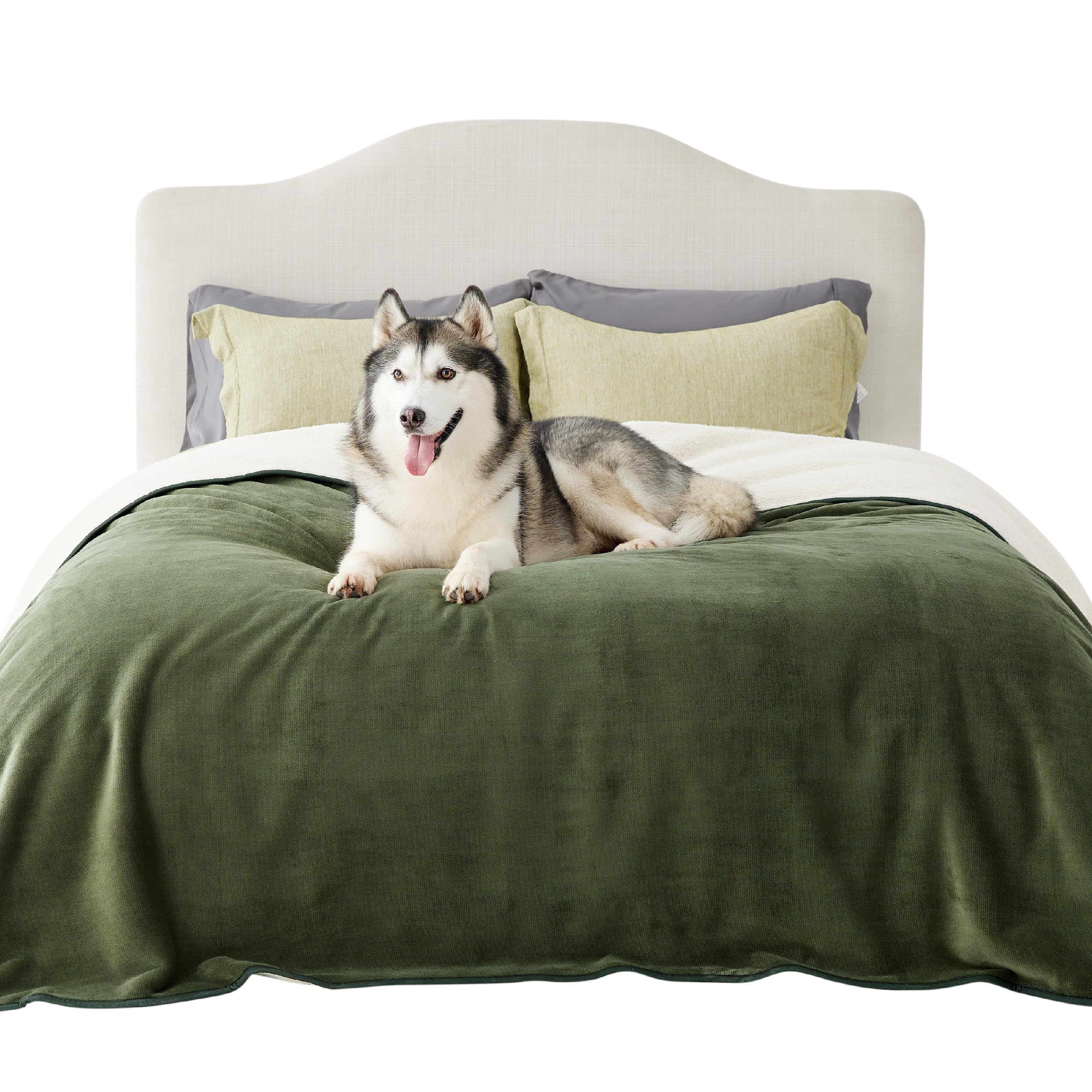 LE SURE wasserdichte Hundedecke mittelgroße Hunde - 100x80cm Hundedecke waschbar, Hundedecke Sofaschutz aus Sherpa Fleece, Katzendecke flauschig und weich, Grau