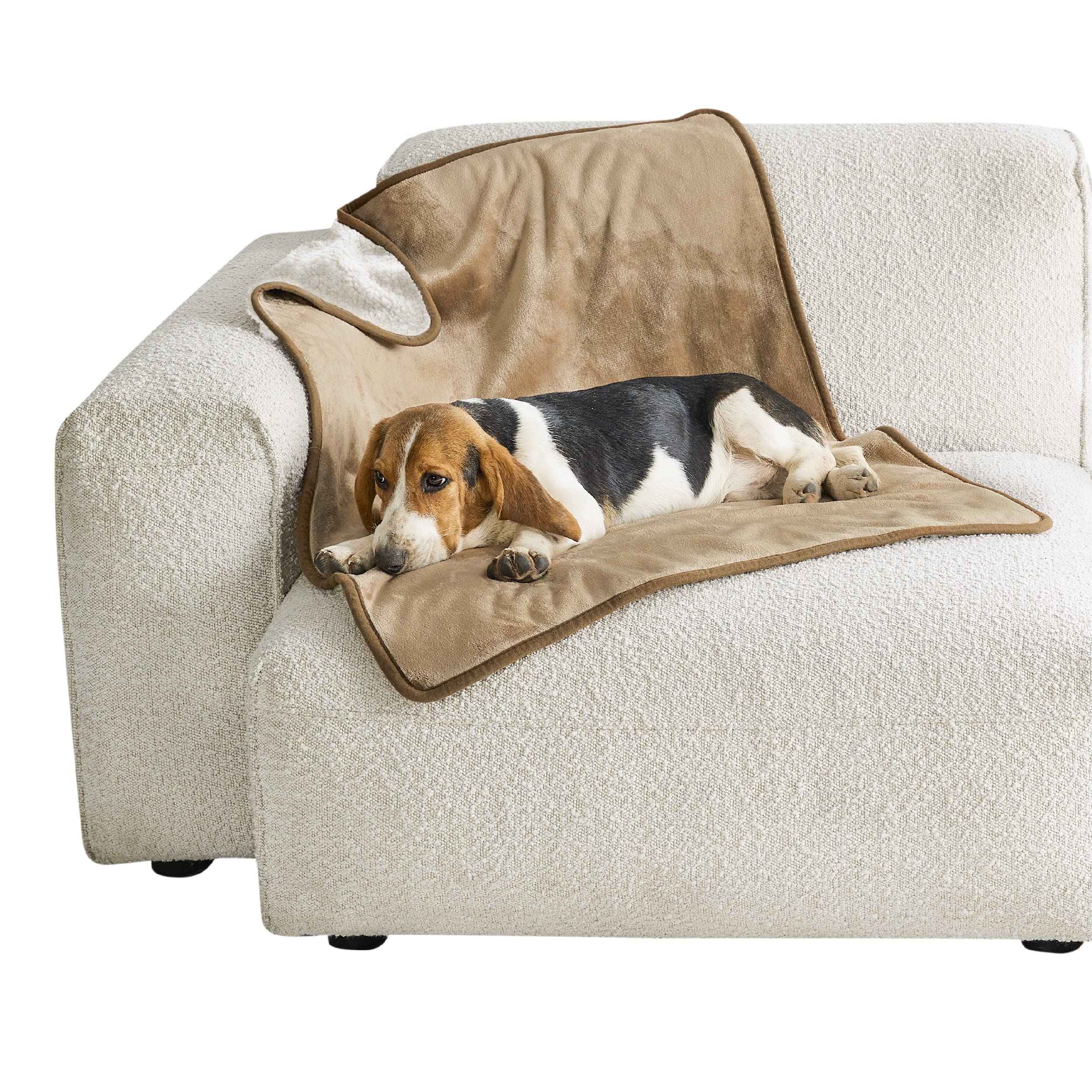 LE SURE wasserdichte Hundedecke mittelgroße Hunde - 100x80cm Hundedecke waschbar, Hundedecke Sofaschutz aus Sherpa Fleece, Katzendecke flauschig und weich, Grau