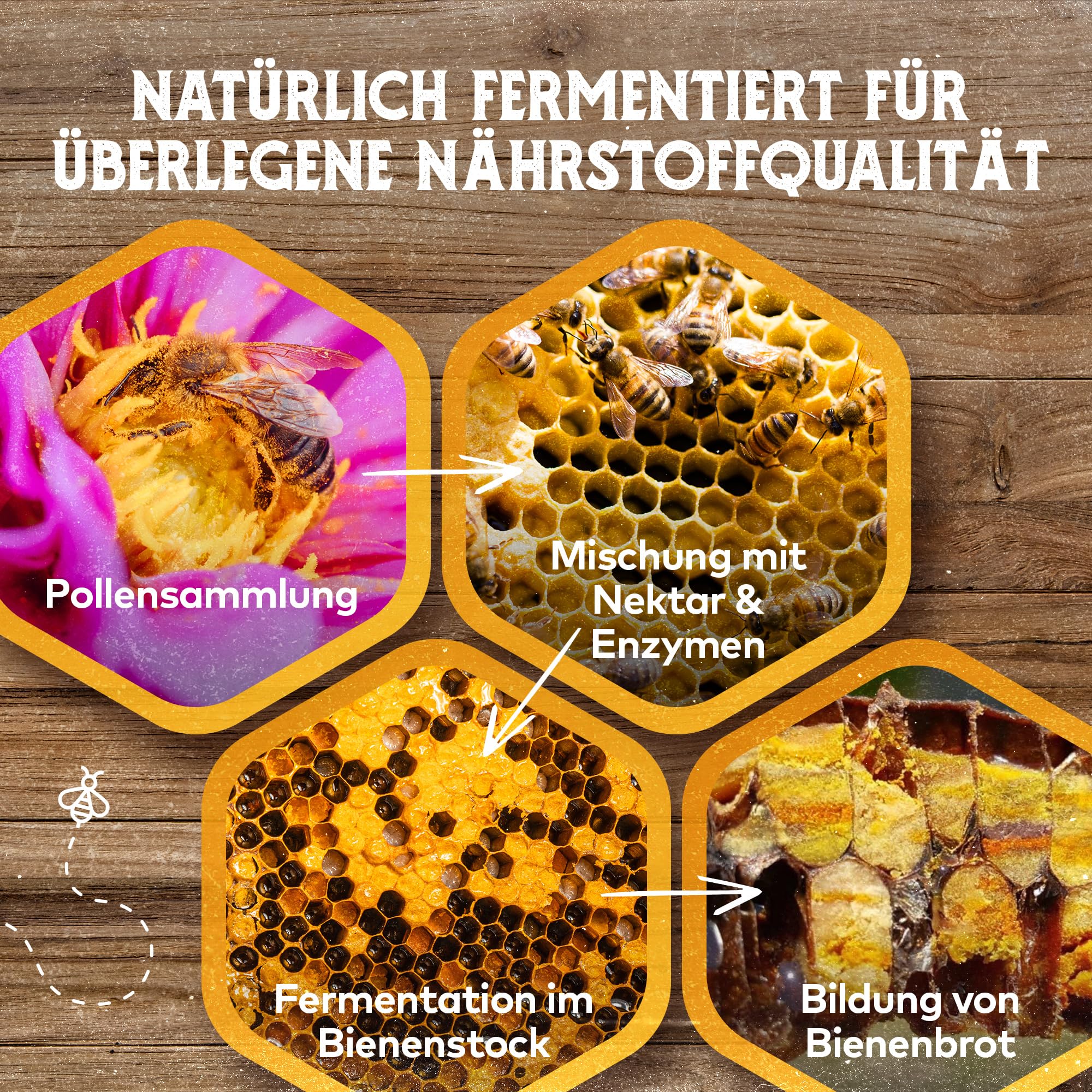 Q Honey – Wildblütenhonig vom Imker, NMR-geprüft, geprüfte Qualität & international anerkannt 2025, 1 kg