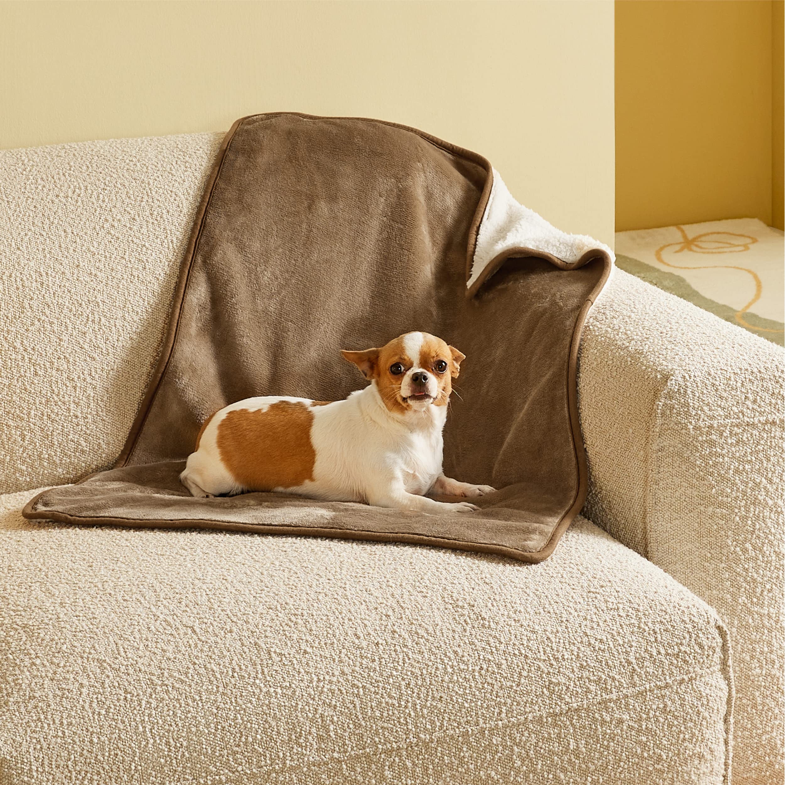 LE SURE wasserdichte Hundedecke mittelgroße Hunde - 100x80cm Hundedecke waschbar, Hundedecke Sofaschutz aus Sherpa Fleece, Katzendecke flauschig und weich, Grau