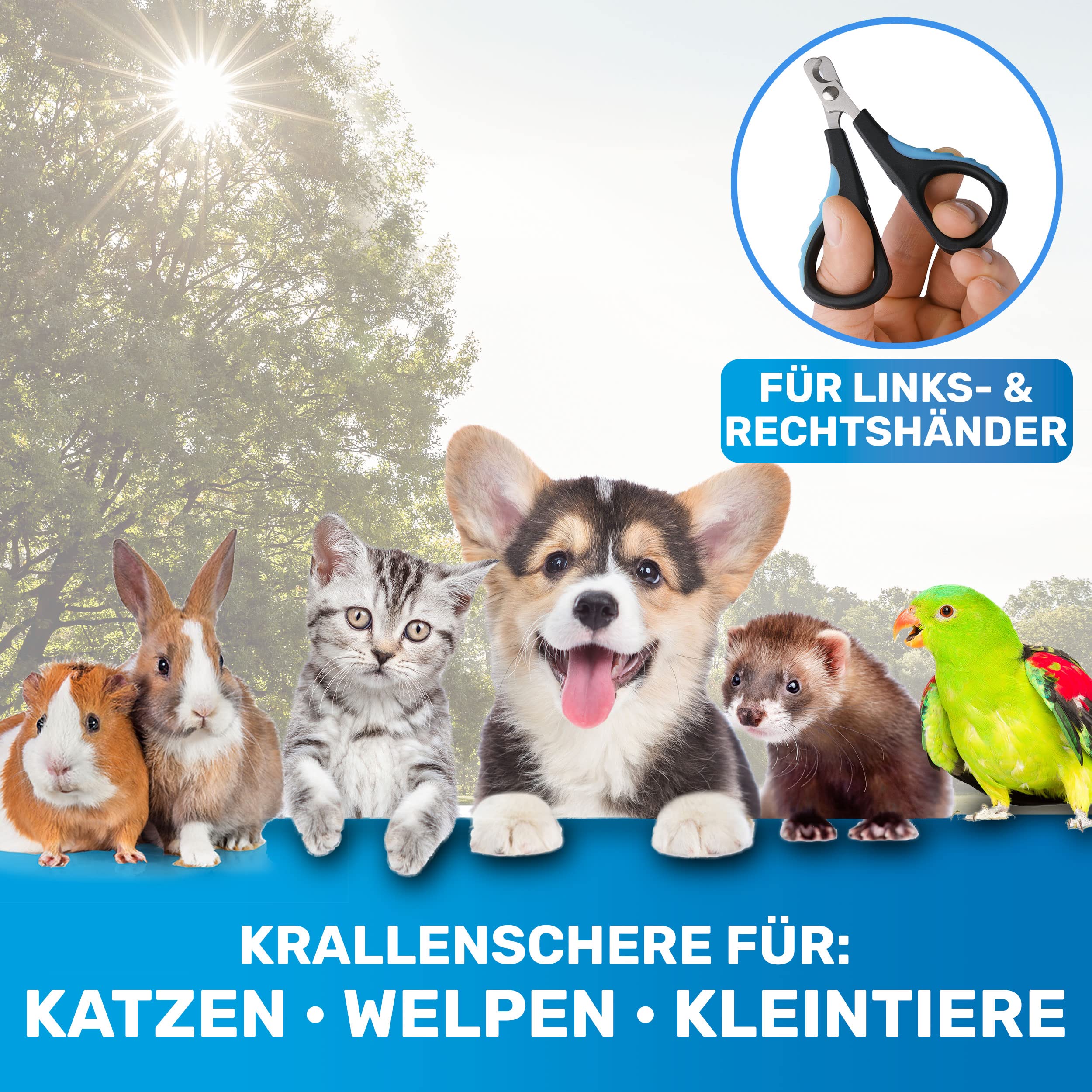 BluePet Krallenschere mit Schutz für Hunde & Katzen I Einsteigerfreundlich I Krallenzange für kleine & große Krallen + Krallenfeile im Griff - Alternative zu Nagelschere & Krallenschleifer