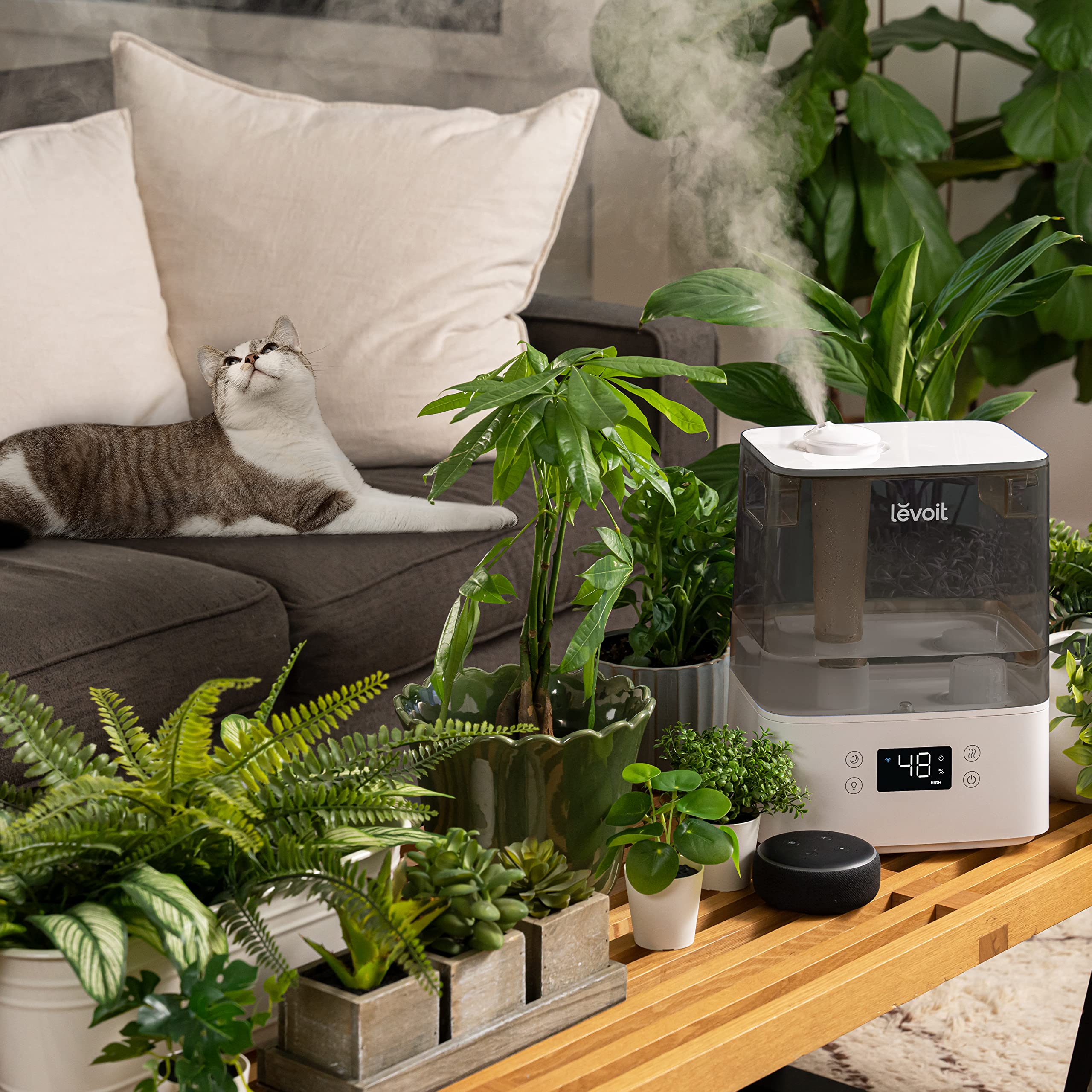 Levoit Luftbefeuchter Schlafzimmer, 23dB leise Humidifier, Top-Fill für Baby, bis 25H, Raumbefeuchter mit 360 grad Drehdüse für Kinderzimmer, Pflanzen, Auto Shut-off, 2,5 L, Weiß