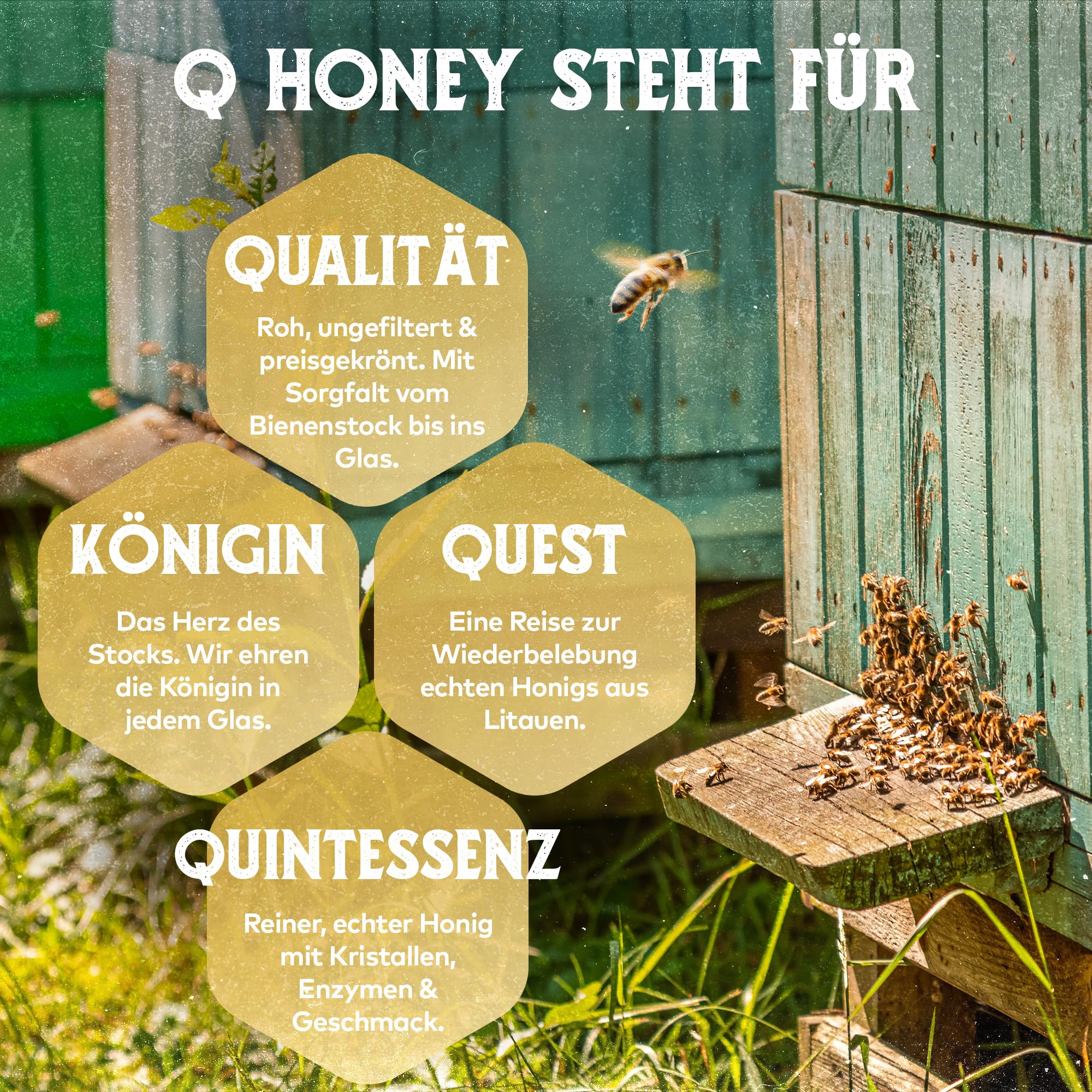 Q Honey – Wildblütenhonig vom Imker, NMR-geprüft, geprüfte Qualität & international anerkannt 2025, 1 kg
