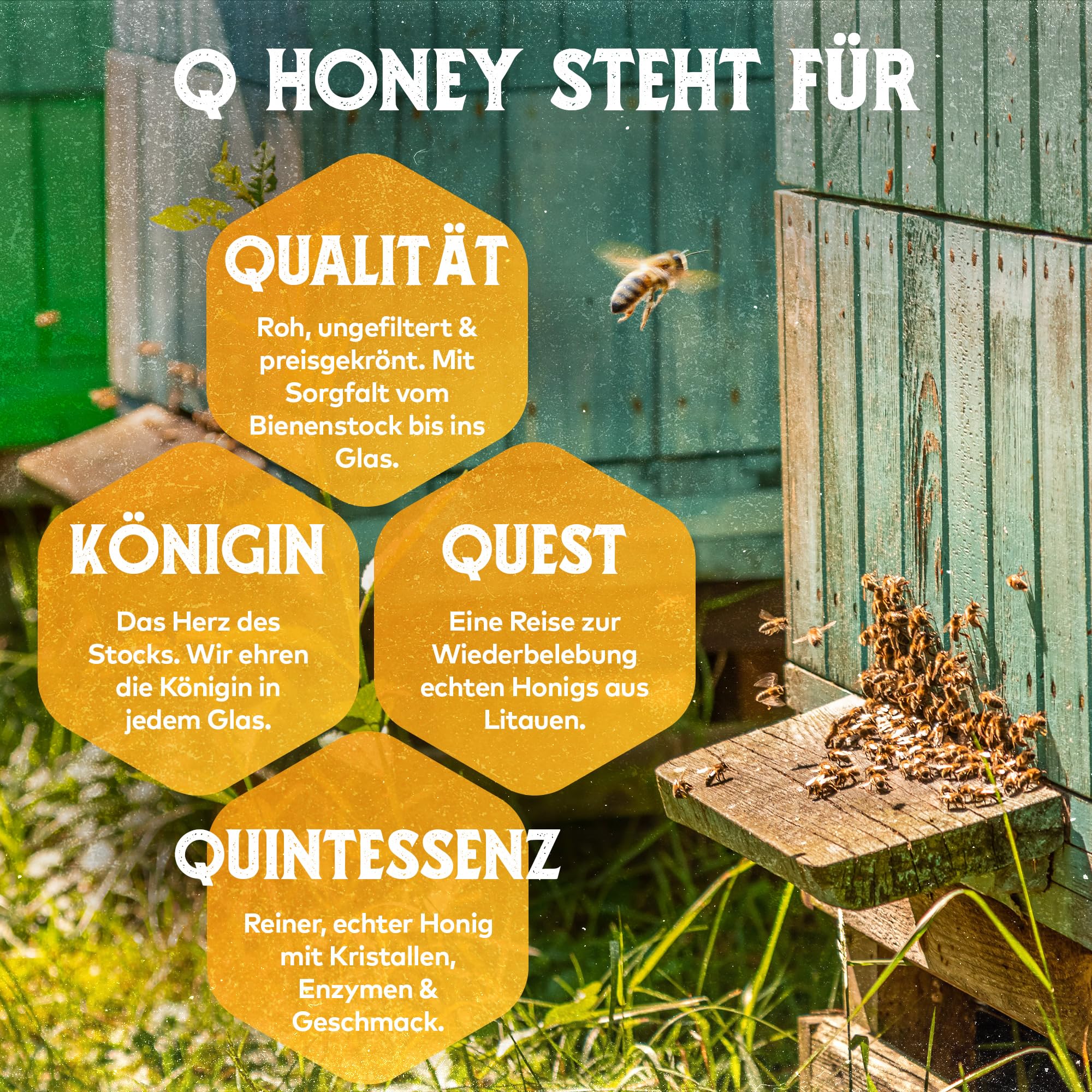 Q Honey – Wildblütenhonig vom Imker, NMR-geprüft, geprüfte Qualität & international anerkannt 2025, 1 kg