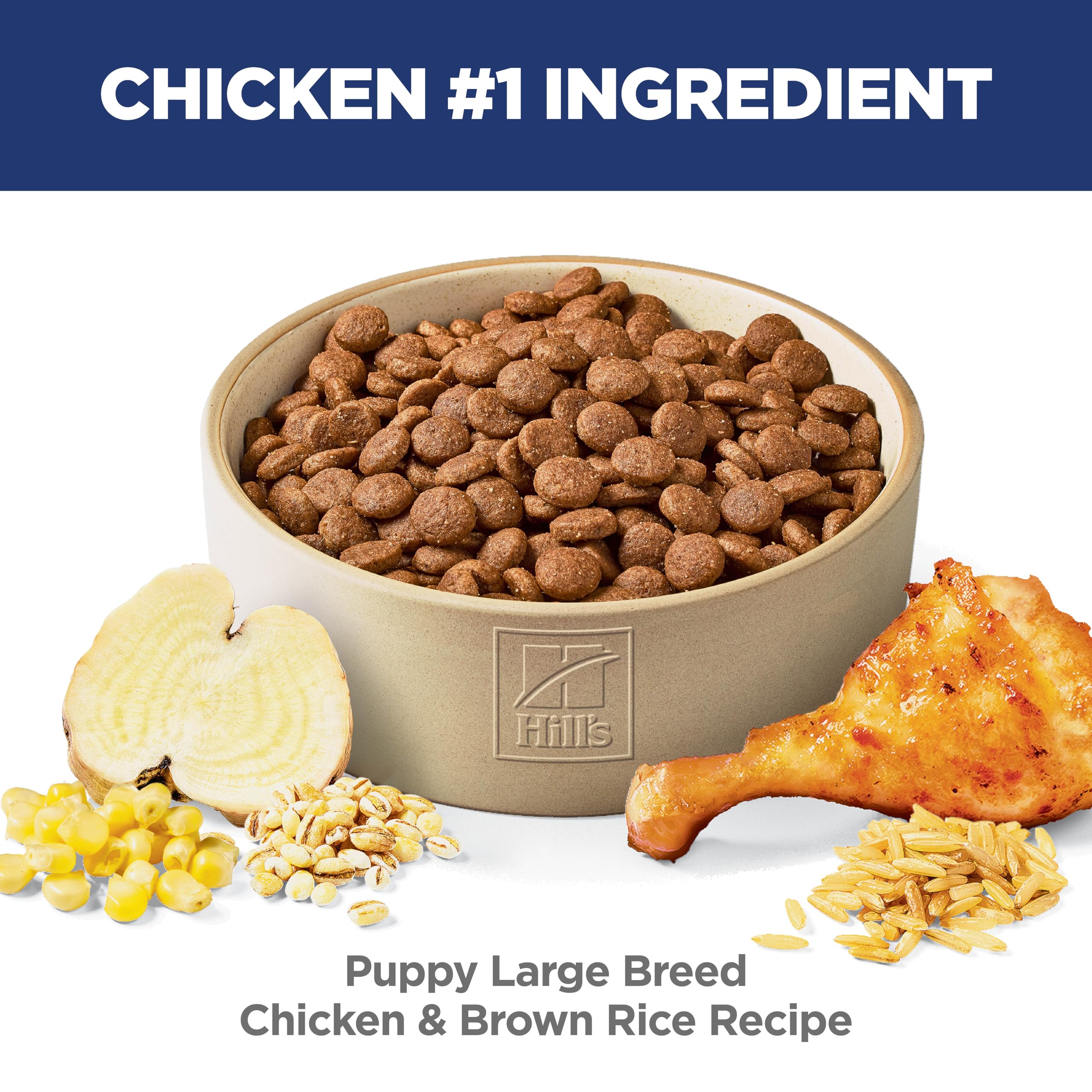 Hill's Science Diet Large Breed Puppy Food, DHA to Support Healthy Development, Chicken & Brown Rice Dry Dog Food, 15.5 lb. Bag