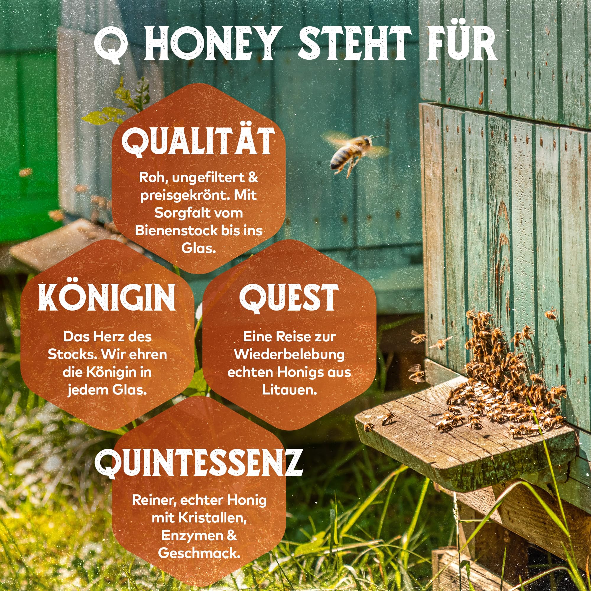 Q Honey – Wildblütenhonig vom Imker, NMR-geprüft, geprüfte Qualität & international anerkannt 2025, 1 kg