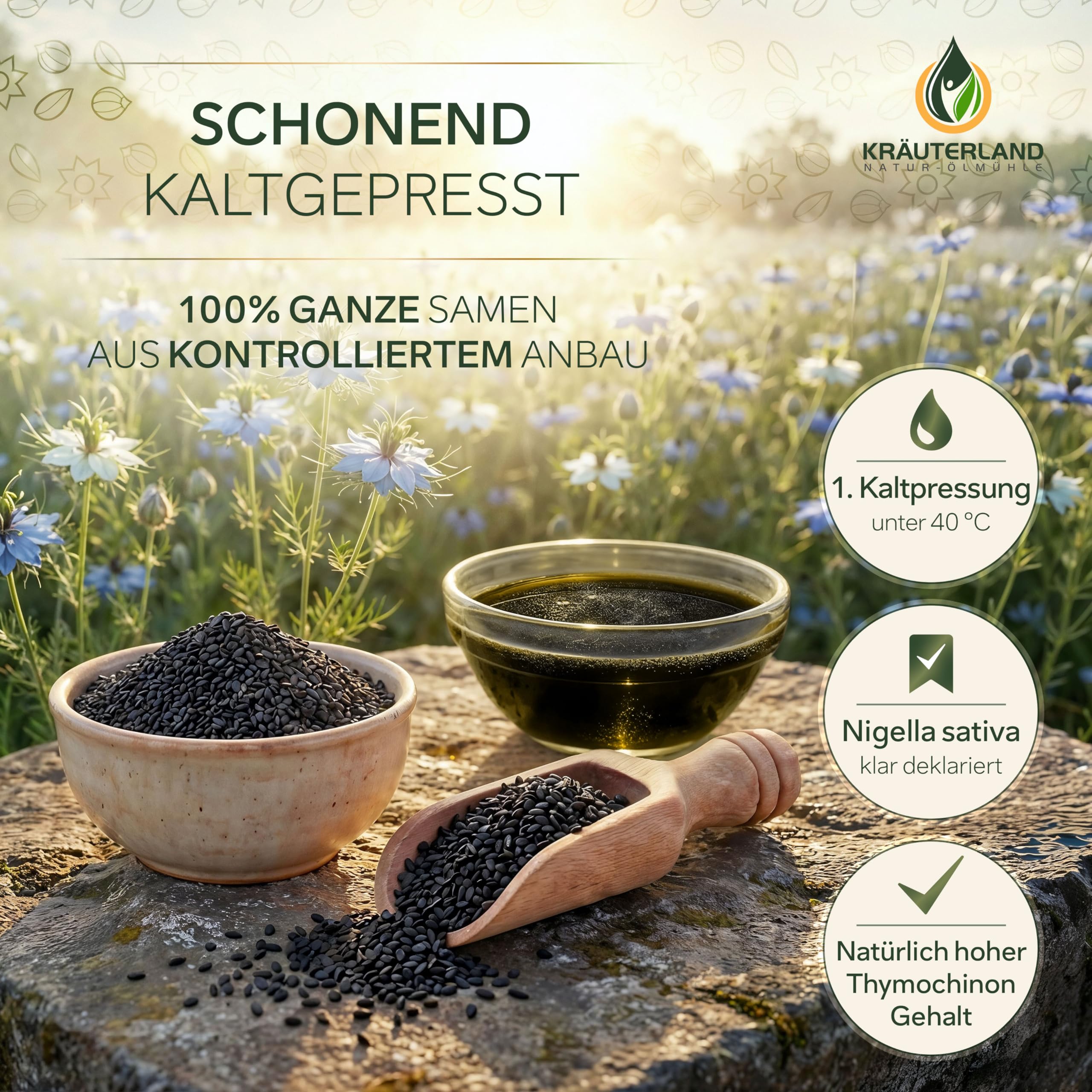 Kräuterland Schwarzkümmelöl 500ml, kaltgepresst & ungefiltert, hoher Thymochinon‑Anteil, ägyptische Samen, mühlenfrisch, 100 % Nigella sativa, naturrein ohne Zusatzstoffe, lichtgeschützten Glas