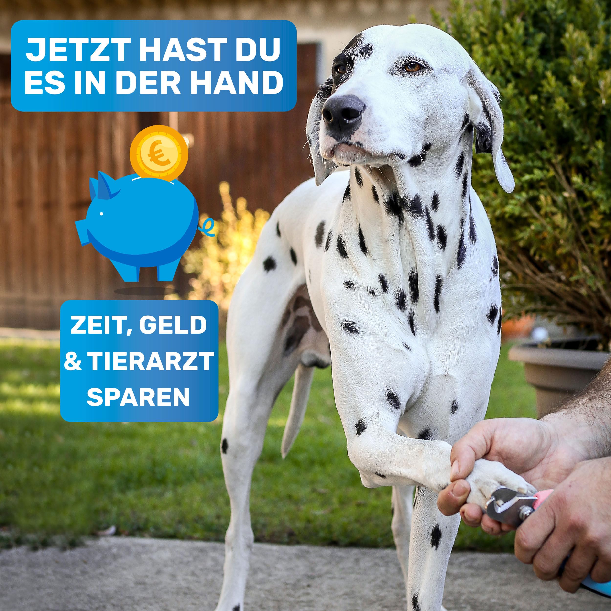 BluePet Krallenschere mit Schutz für Hunde & Katzen I Einsteigerfreundlich I Krallenzange für kleine & große Krallen + Krallenfeile im Griff - Alternative zu Nagelschere & Krallenschleifer