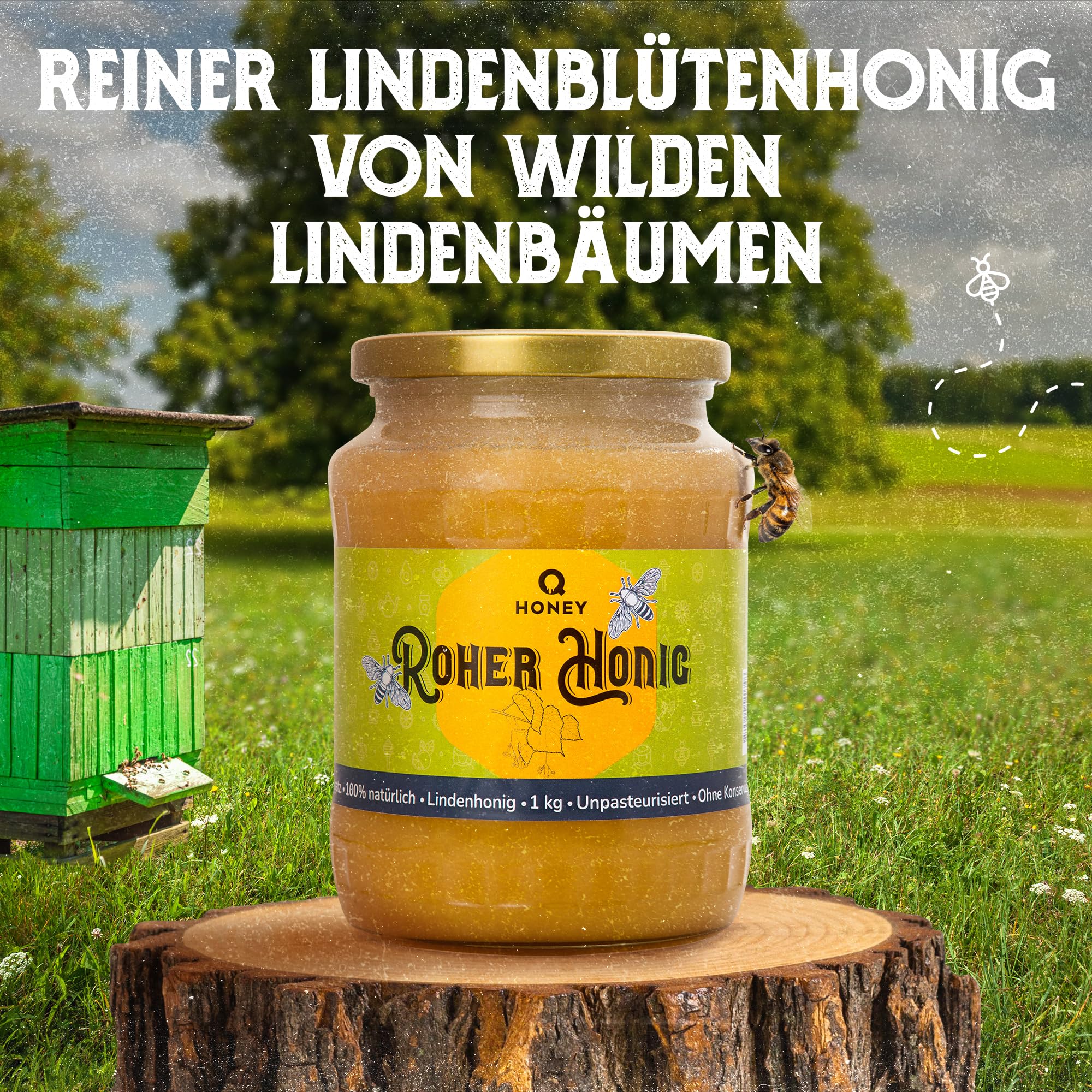 Q Honey – Wildblütenhonig vom Imker, NMR-geprüft, geprüfte Qualität & international anerkannt 2025, 1 kg
