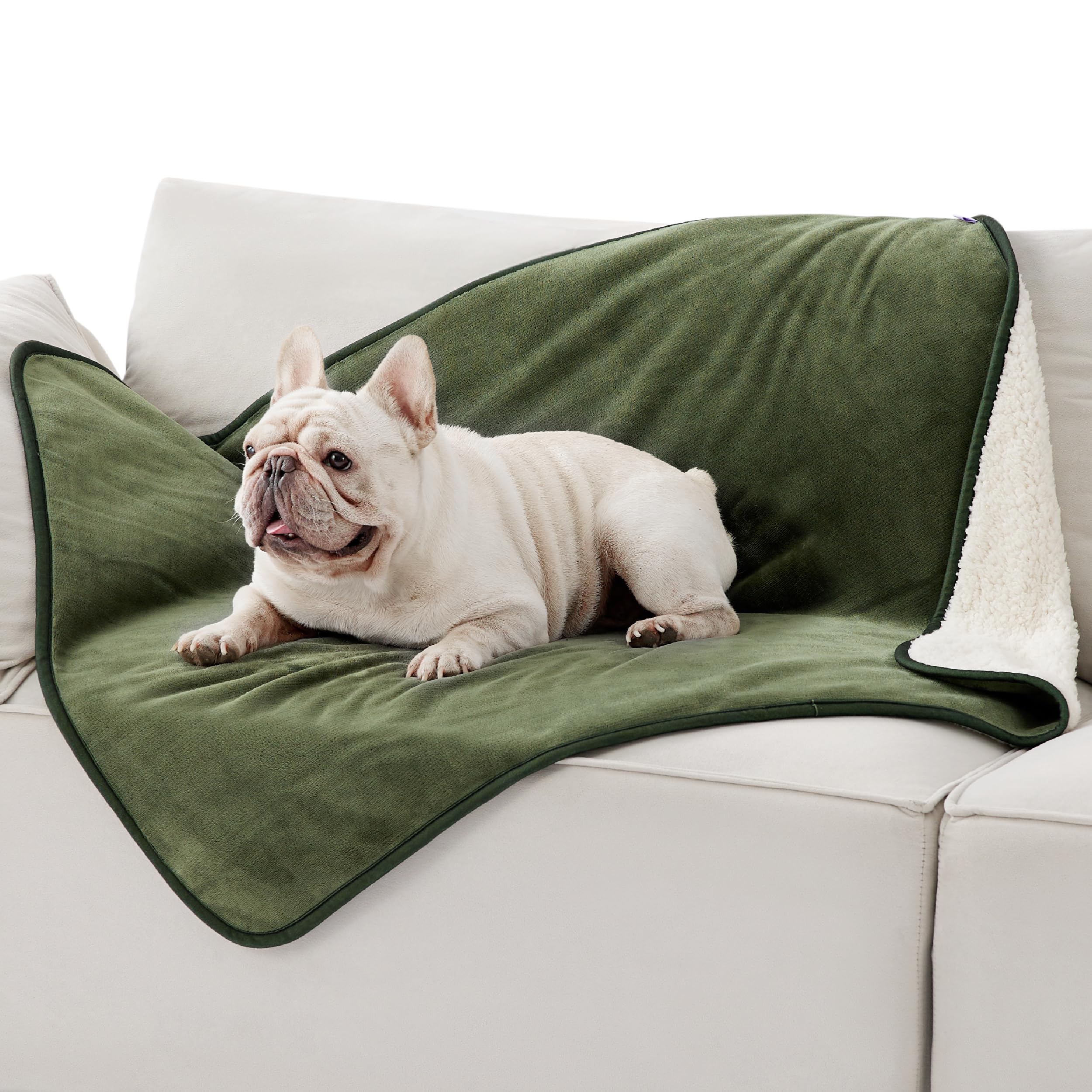 LE SURE wasserdichte Hundedecke mittelgroße Hunde - 100x80cm Hundedecke waschbar, Hundedecke Sofaschutz aus Sherpa Fleece, Katzendecke flauschig und weich, Grau