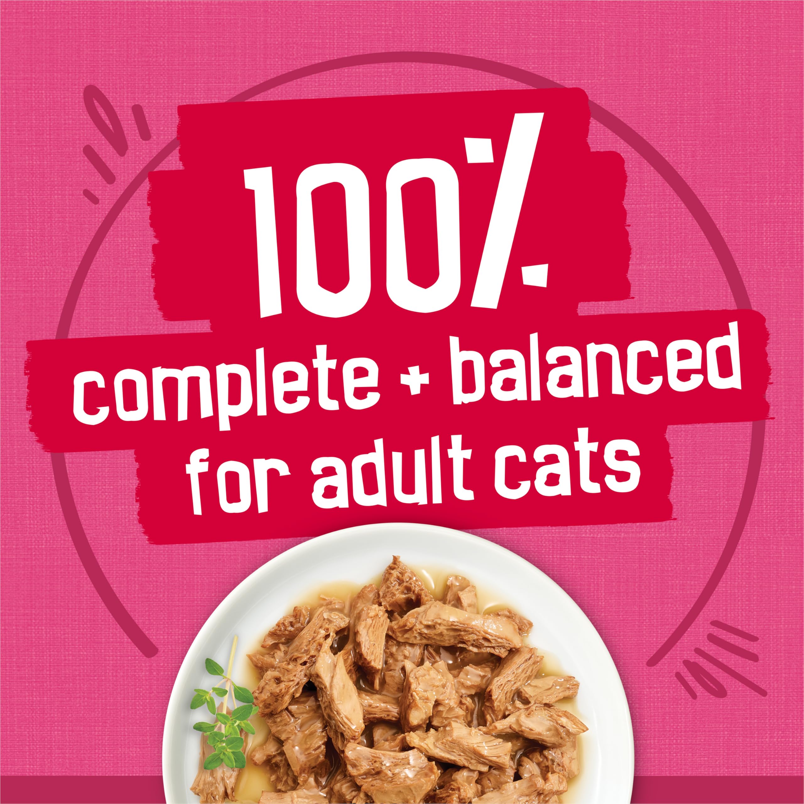 Purina Friskies Gravy Wet Cat Food Variety Pack, Surfin' and Turfin' Prime Filets Favorites - (Pack of 40) 5.5 oz. Cans