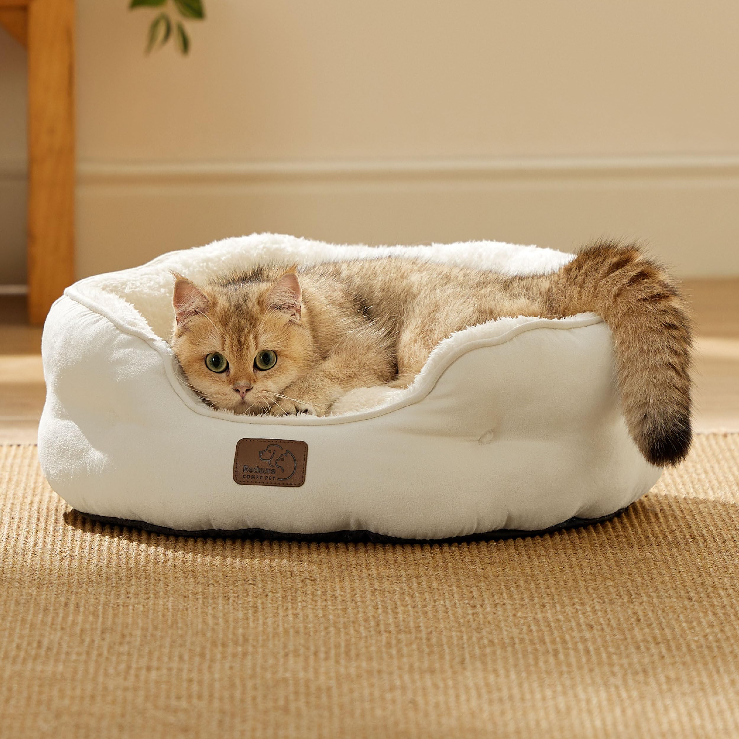BEDSURE Katzenbett waschbar Katzen Bettchen - 51x48x15cm Katzenkorb mit Zweiseitig Innenkissen Katzenschlafplatz für Katzen oder kleine Hunde,Grau