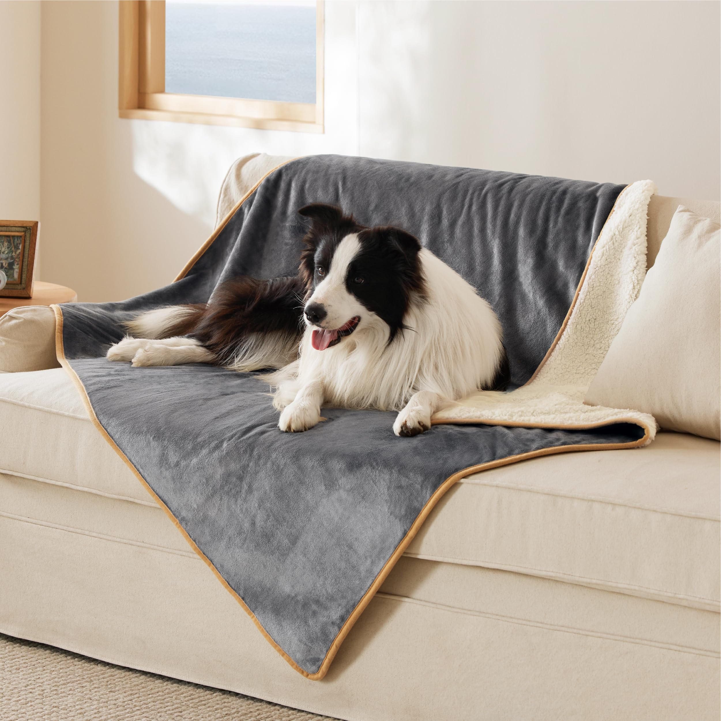LE SURE wasserdichte Hundedecke mittelgroße Hunde - 100x80cm Hundedecke waschbar, Hundedecke Sofaschutz aus Sherpa Fleece, Katzendecke flauschig und weich, Grau