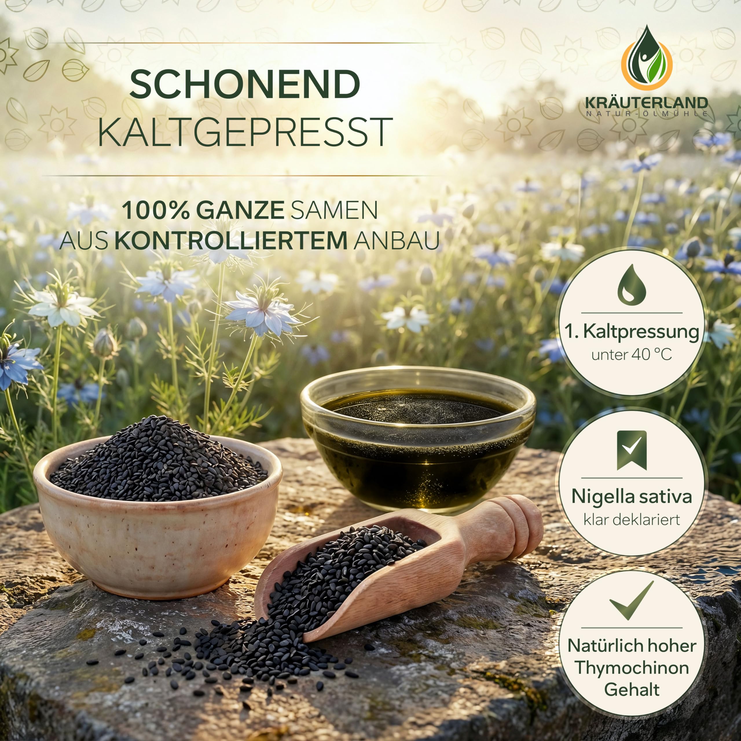 Kräuterland Schwarzkümmelöl 500ml, kaltgepresst & ungefiltert, hoher Thymochinon‑Anteil, ägyptische Samen, mühlenfrisch, 100 % Nigella sativa, naturrein ohne Zusatzstoffe, lichtgeschützten Glas