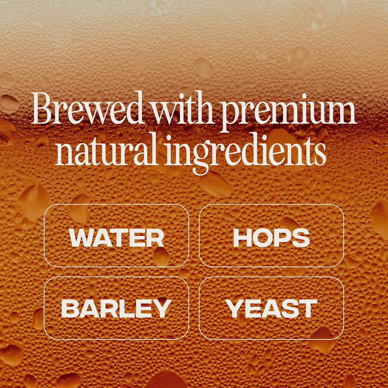 Partake Brewing Craft Non-Alcoholic Beer, IPA 12 Pack x 12 Fl Oz Cans - Low Calorie & Carb, No Sugar, All-Natural Ingredients - Award-Winning Taste, Non-Alcoholic Beer Without the Empty Calories